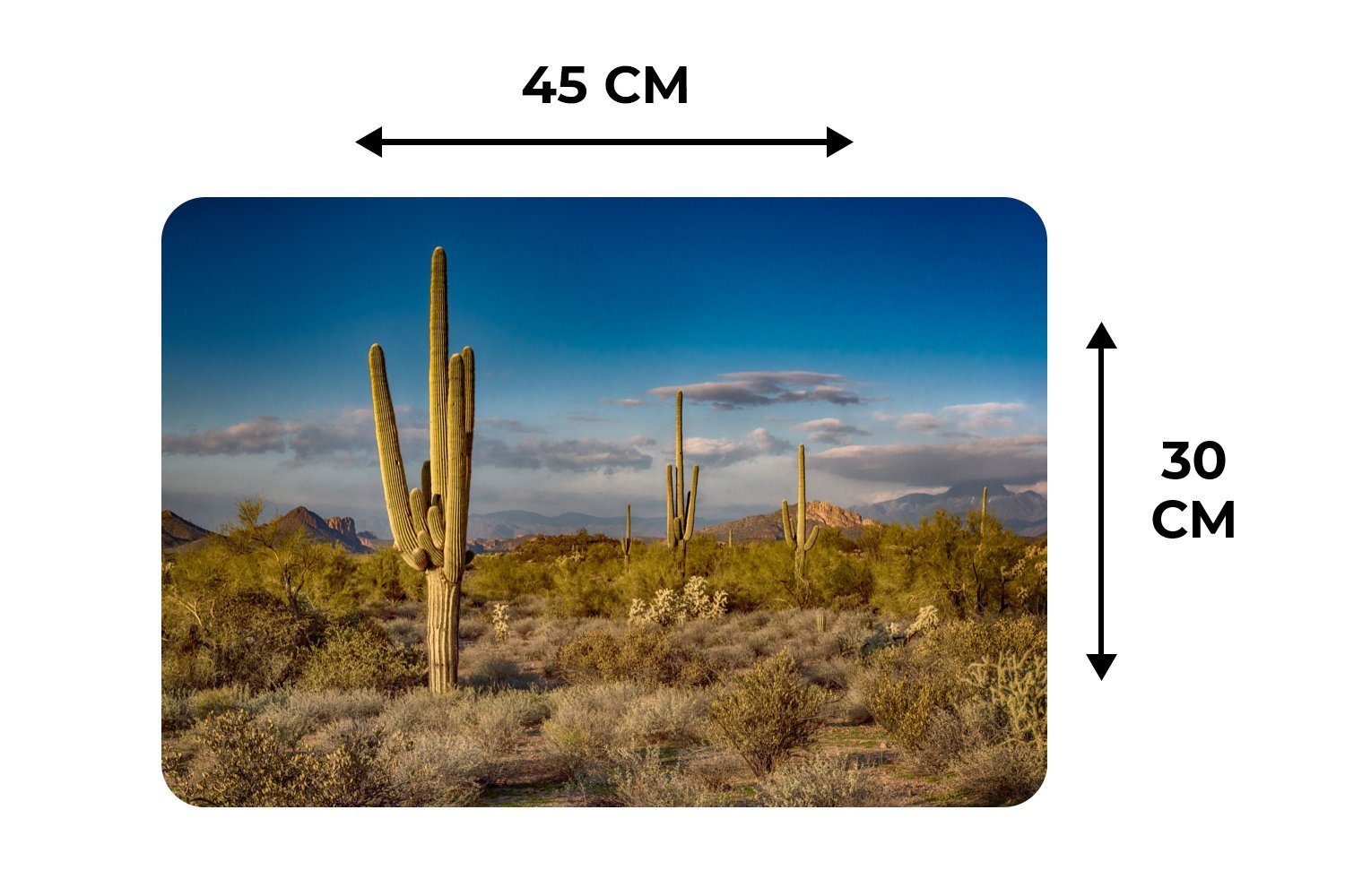 Platzset, Kaktus bei Sonnenuntergang MuchoWow, Arizona, Platzmatte, (6-St), Schmutzabweisend in Platzdecken, Tischmatten, Platzset