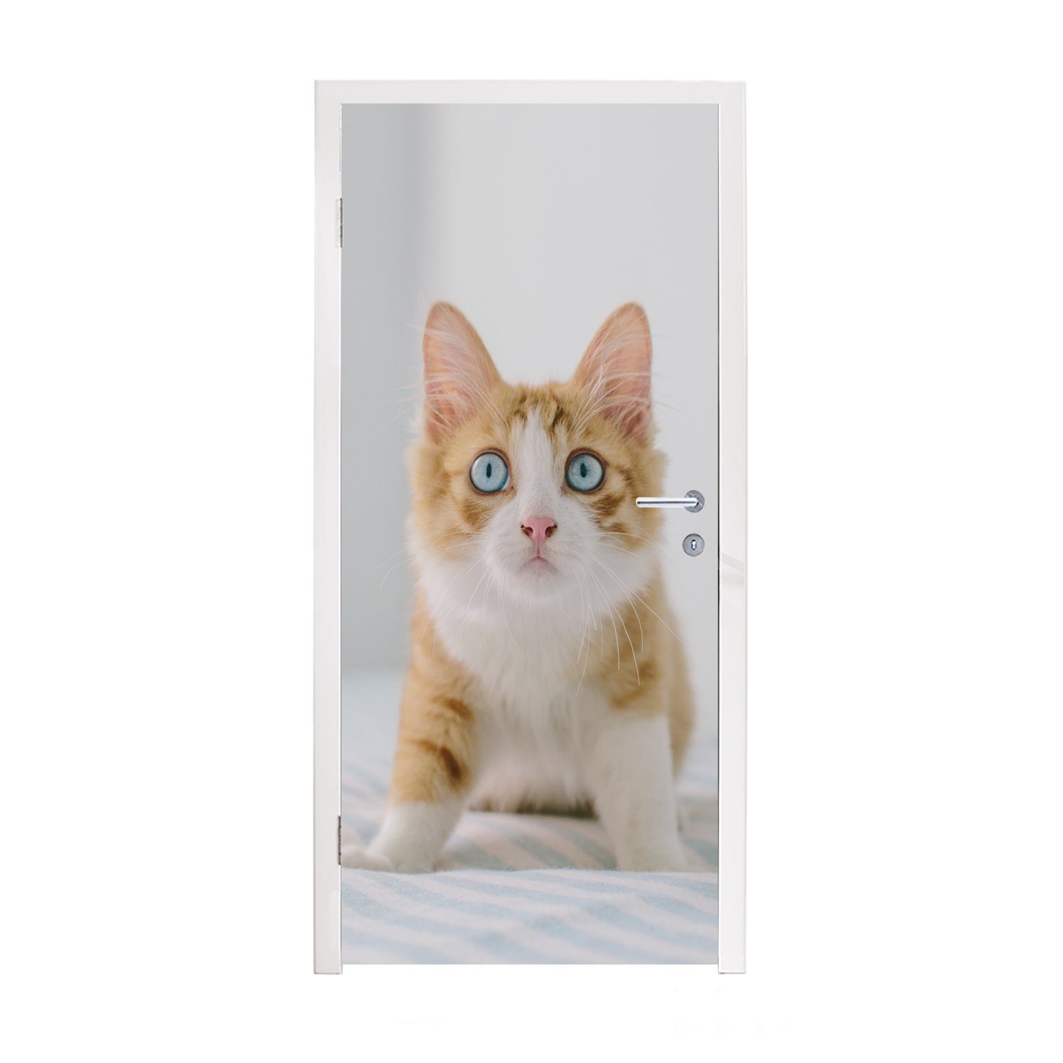 MuchoWow Türtapete Kätzchen - Blau - Orange - Mädchen - Jungen - Kind, Matt, bedruckt, (1 St), Fototapete für Tür, Türaufkleber, 75x205 cm