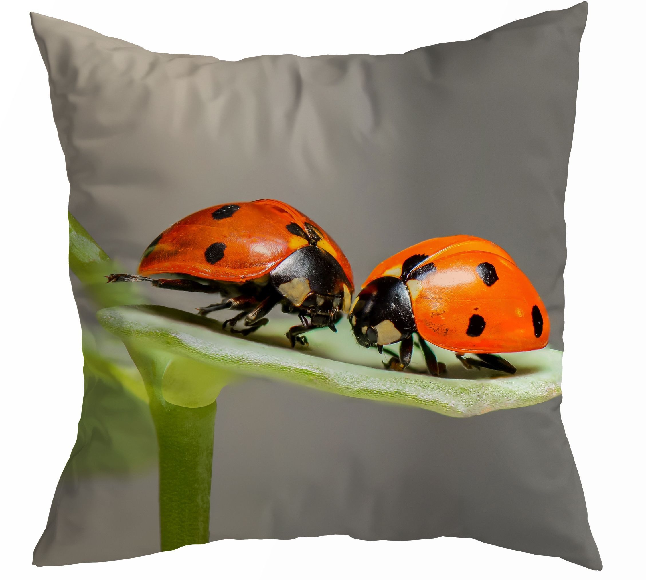 SPRÜGEL Подушкиhülle Marienkäfer 45 x 45 cm
