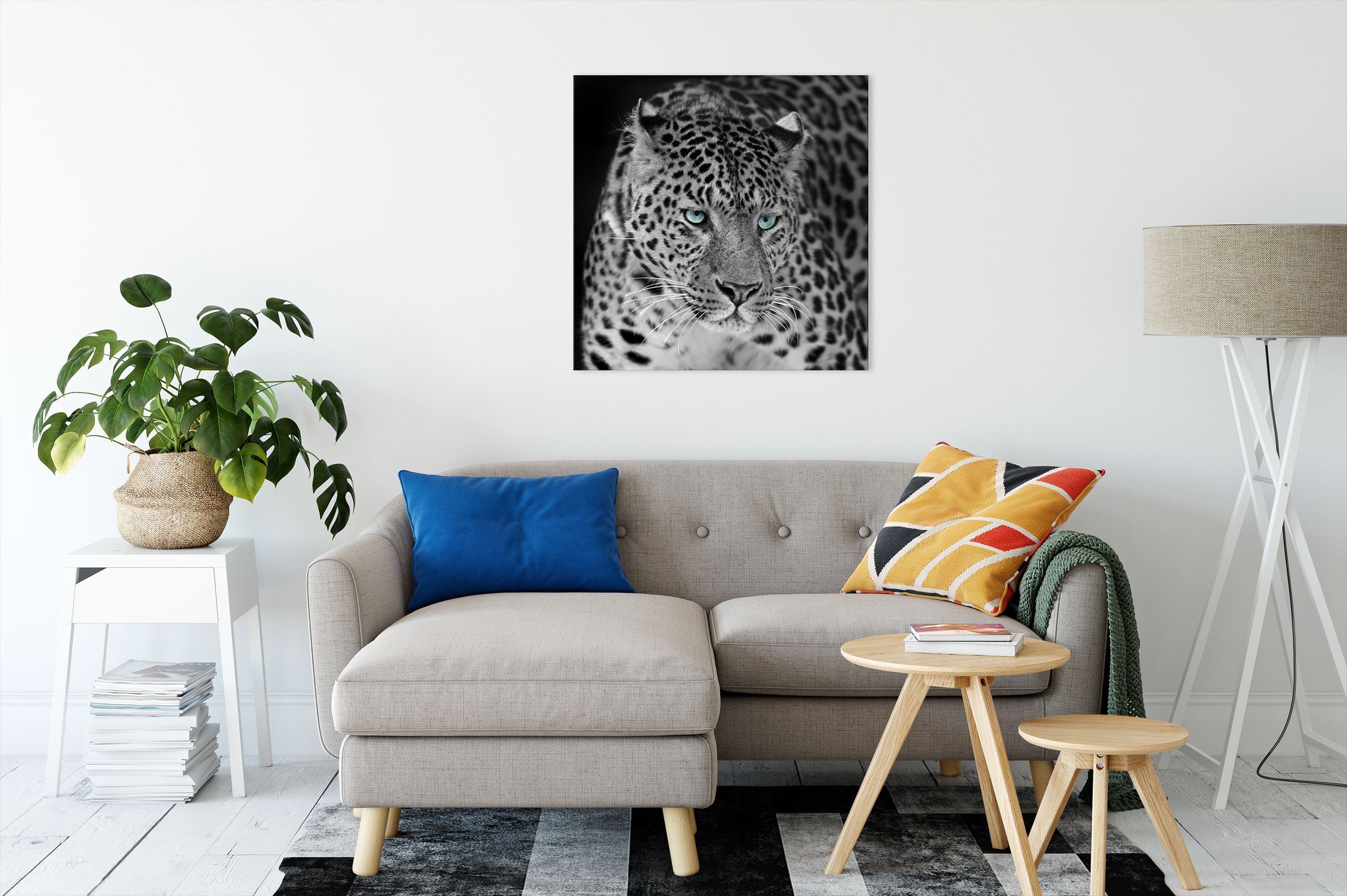 inkl. Leopard, fertig Leopard Zackenaufhänger Pixxprint Leinwandbild Prächtiger Prächtiger St), Leinwandbild bespannt, (1