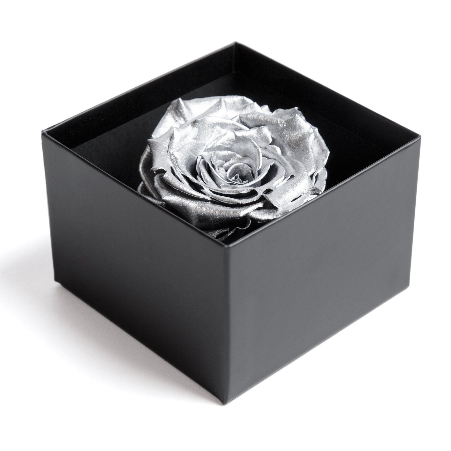 Kunstblume 1 Infinity Rose haltbar in Rose Heidelberg, Blumendeckel Box 3 cm, Echte Rose Jahre mit Jahre haltbar 3 ROSEMARIE silber 6.5 SCHULZ Rose, zu Höhe bis