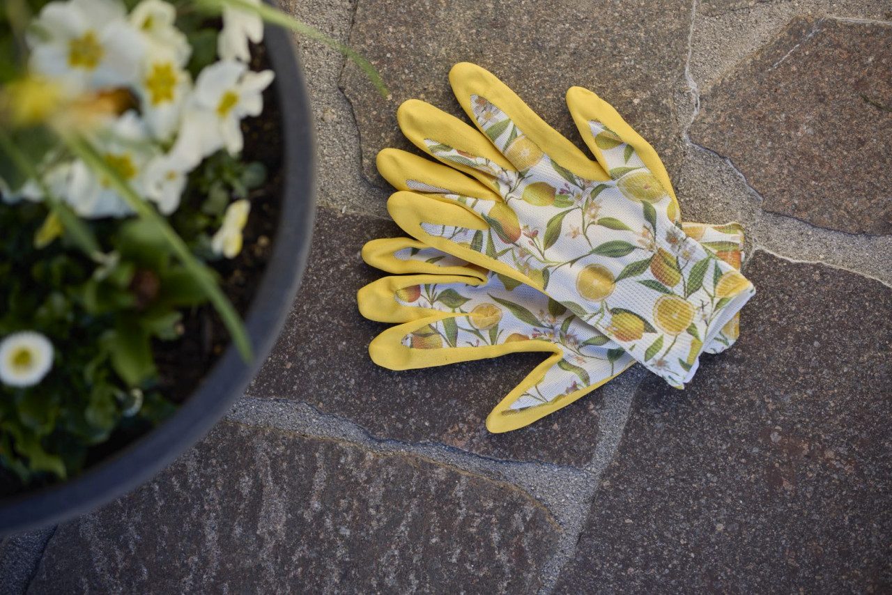 Gebol Arbeitshandschuhe Handschuh Gardeluxe Lemon