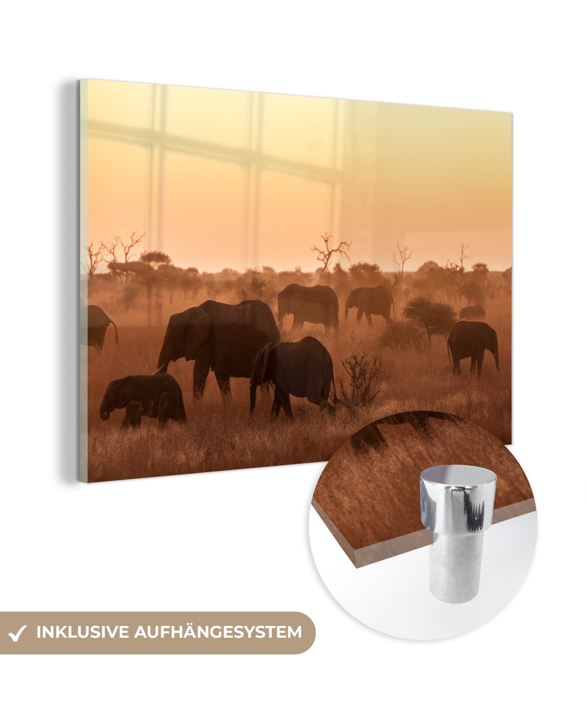 & MuchoWow St), Südafrika, Elefanten Wilde Kruger-Nationalpark im Acrylglasbild Schlafzimmer in afrikanische Acrylglasbilder (1 Wohnzimmer