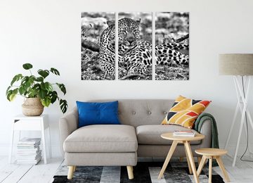Pixxprint Leinwandbild liegender Leopard im Laub, liegender Leopard im Laub 3Teiler (120x80cm) (1 St), Leinwandbild fertig bespannt, inkl. Zackenaufhänger