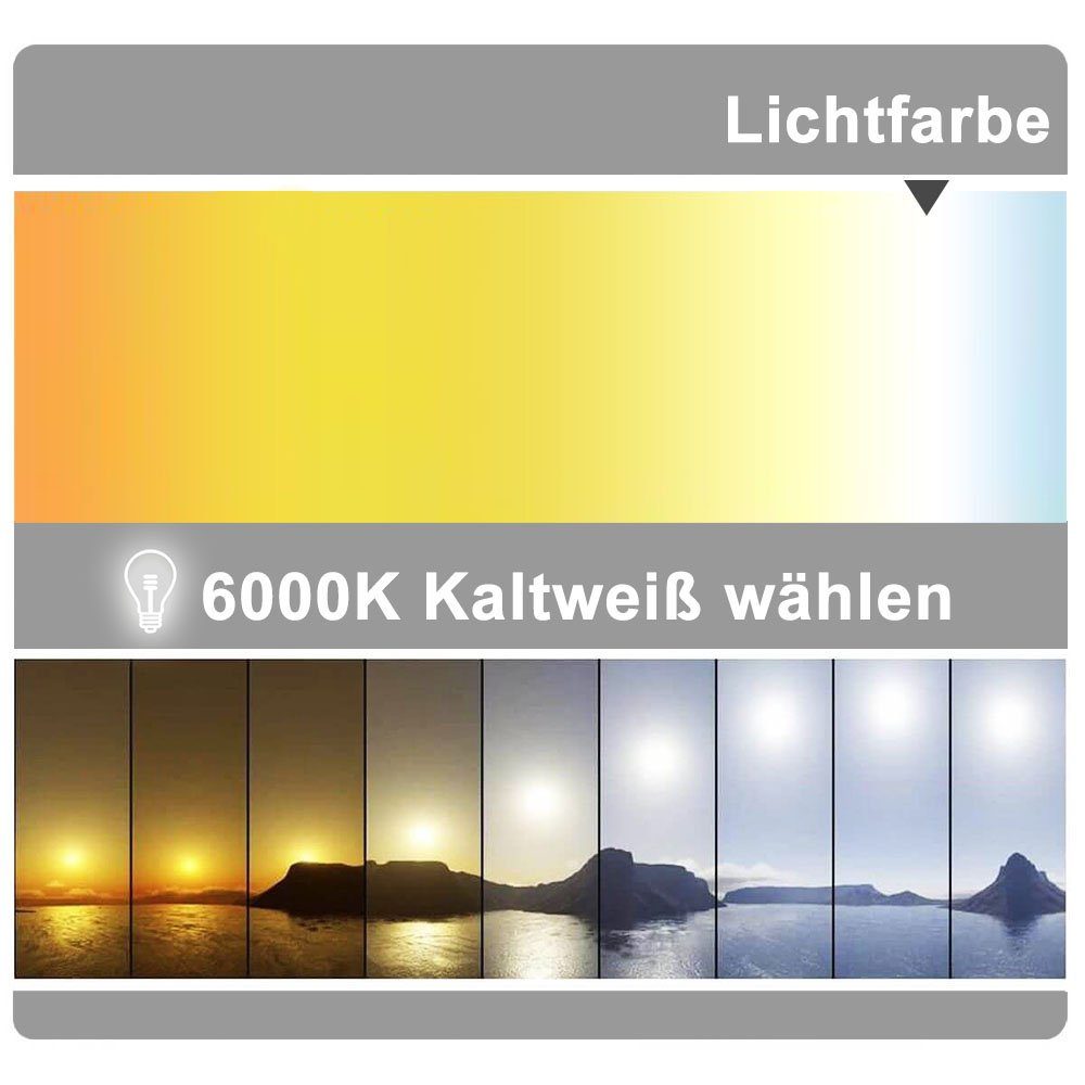 duschspa Badspiegel Wandspiegel mit LED Beleuchtung Kaltweiß Warmweiß wählbar, 50-160 cm breit