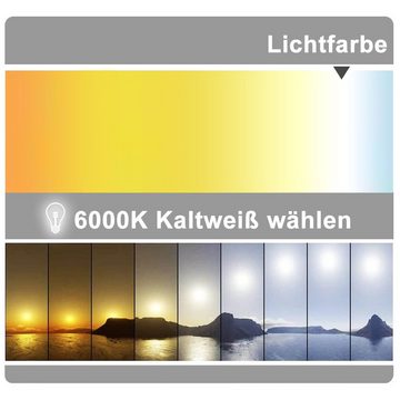 duschspa Badspiegel Wandspiegel mit LED Beleuchtung, 50-100 cm breit