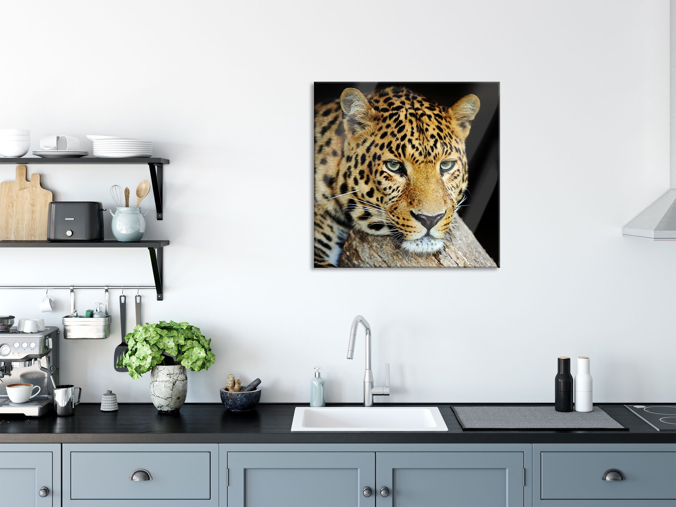 inkl. Ruhiger Leopard, Aufhängungen Leopard Ruhiger Glasbild St), Abstandshalter Echtglas, aus (1 Pixxprint Glasbild und