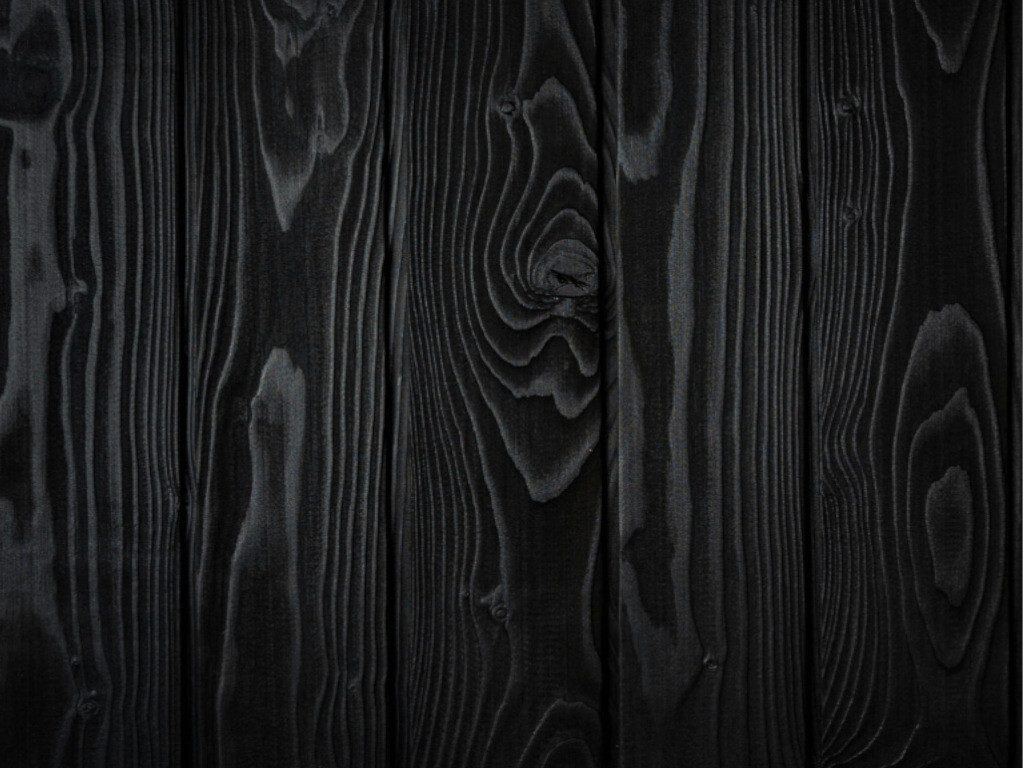 Outgarden Wandpaneel Outgarden Holz Fassadenprofil gebranntes Schwarz Außenfassade, BxL: 12x300 cm