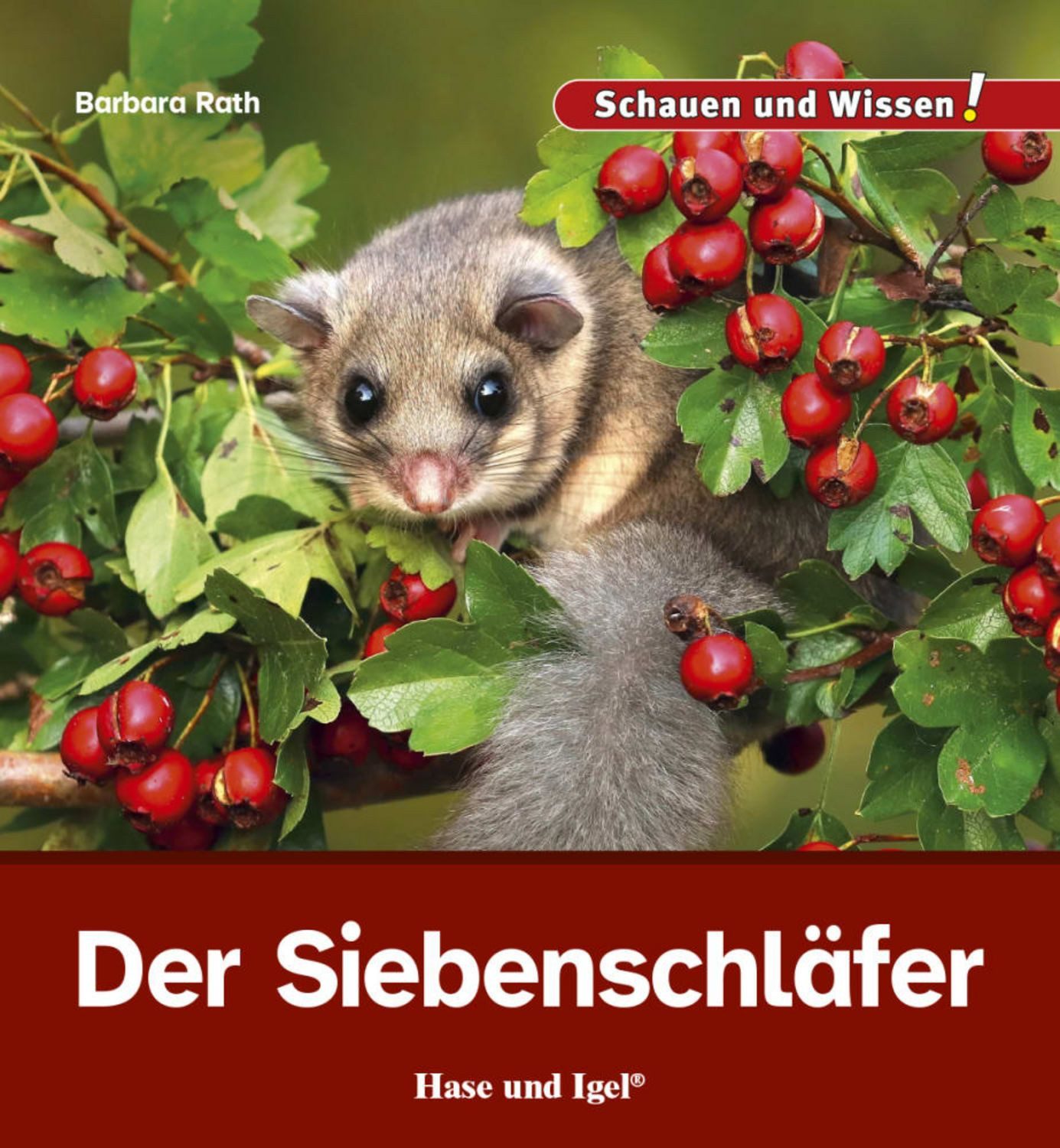 Der Siebenschläfer / Barbara Rath