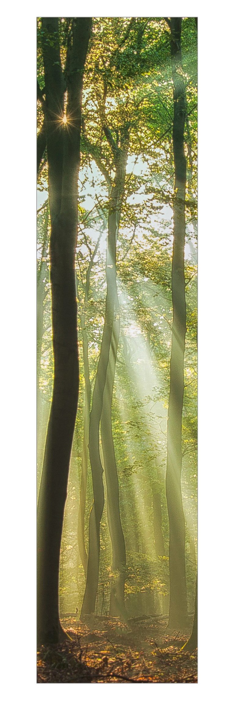 Schiebegardine modern Flächenvorhang blickdicht Sonnentag im Wald
