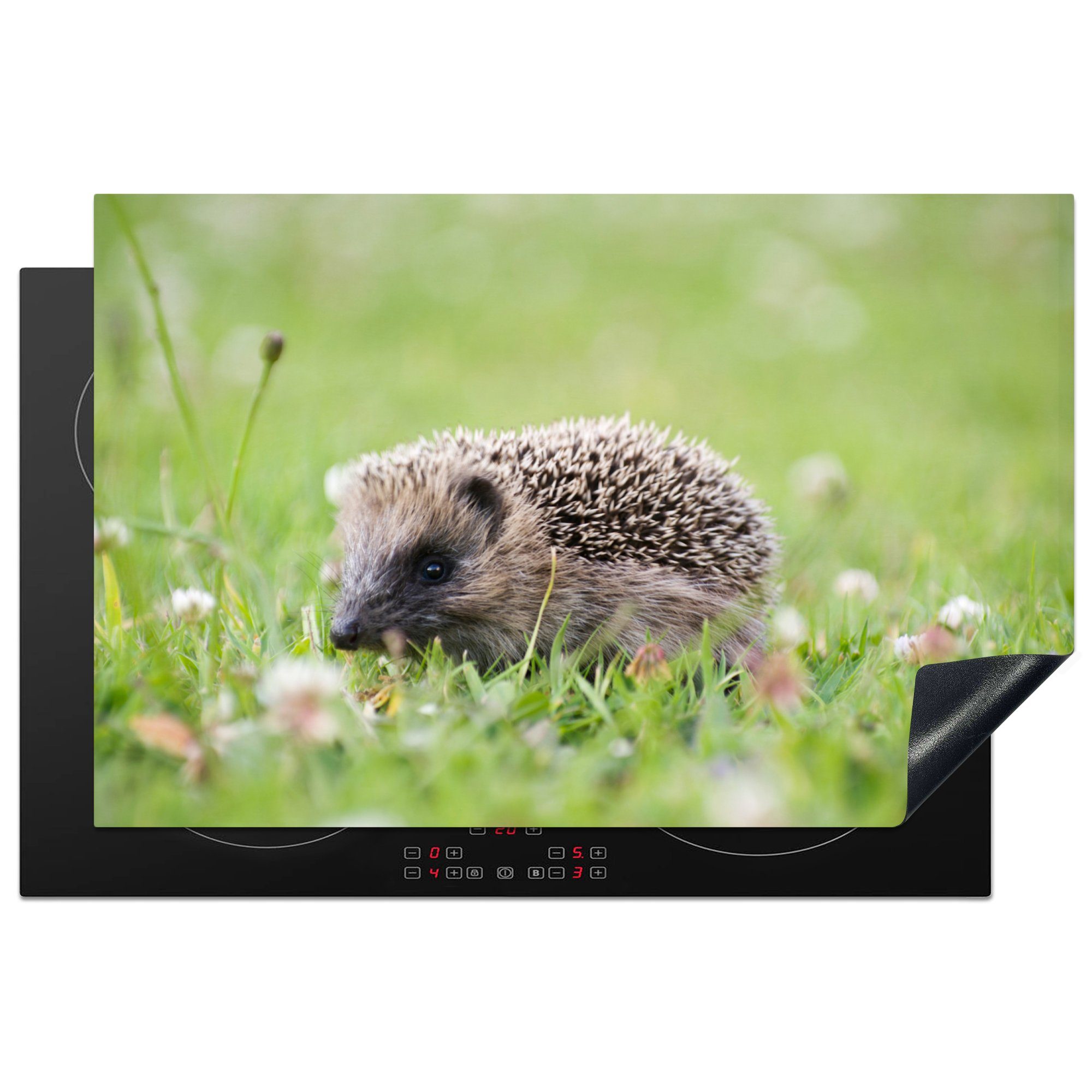 MuchoWow Herdblende-/Abdeckplatte Baby-Igel im Gras, Vinyl, (1 tlg), 81x52 cm, Induktionskochfeld Schutz für die küche, Ceranfeldabdeckung