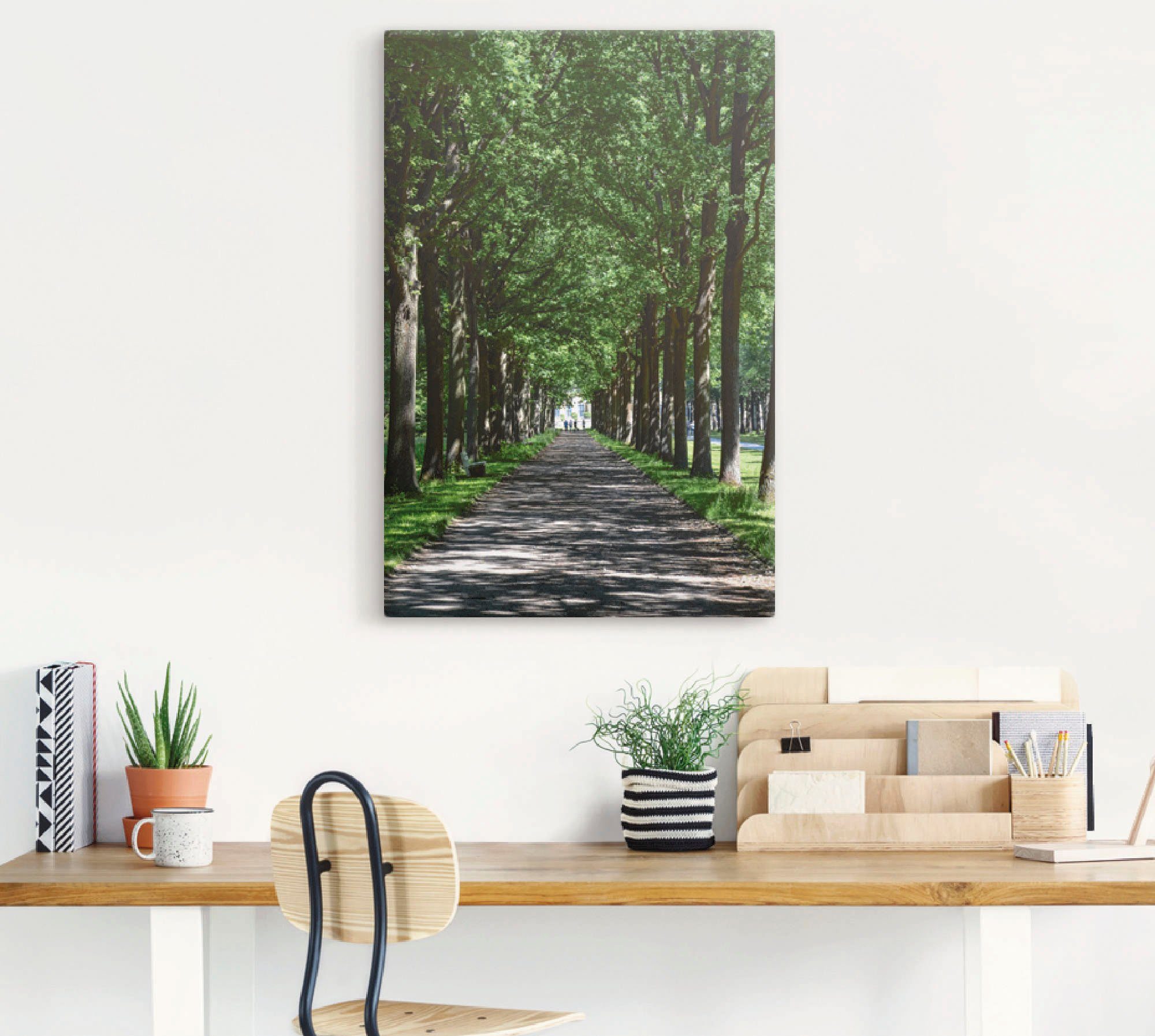 Artland Leinwandbild Allee in der Karlsaue in Kassel, Bäume (1 St), auf Holzrahmen gespannt