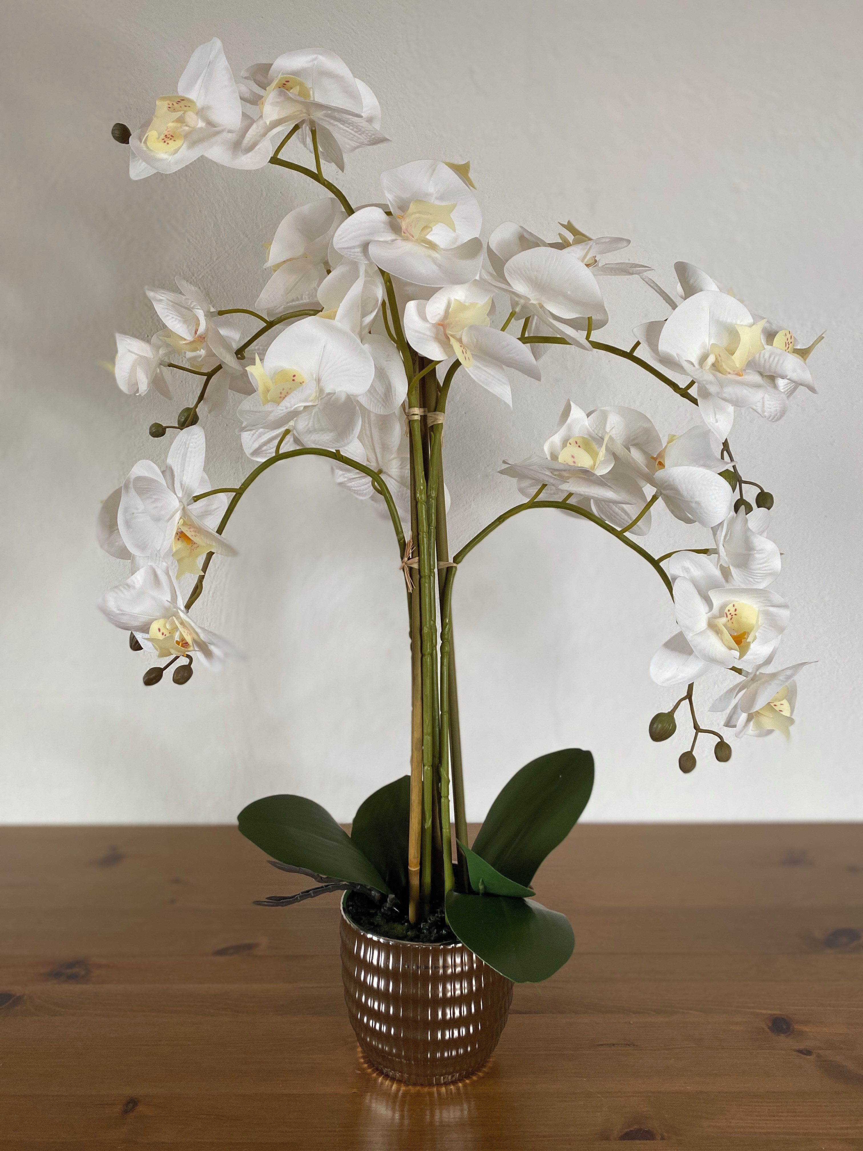 Kunstblume Orchidee, 5 Rispen, Real Touch, weiß mit silbernem Keramiktopf 53cm Orchidee Phalaenopsis, Dahlia Studios