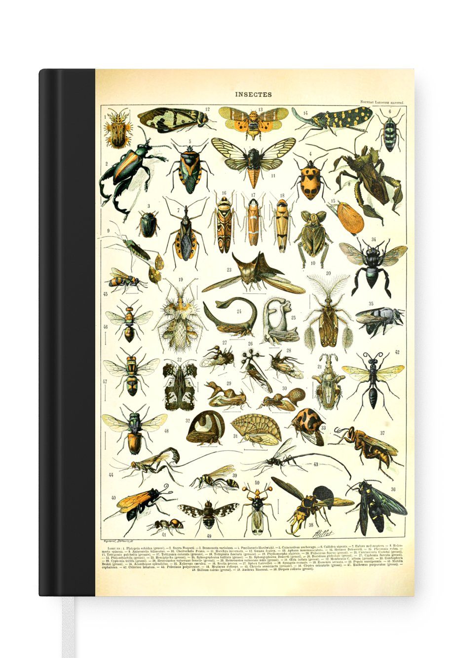 MuchoWow Notizbuch Insekten - Tiere - Jahrgang, Journal, Merkzettel, Tagebuch, Notizheft, A5, 98 Seiten, Haushaltsbuch