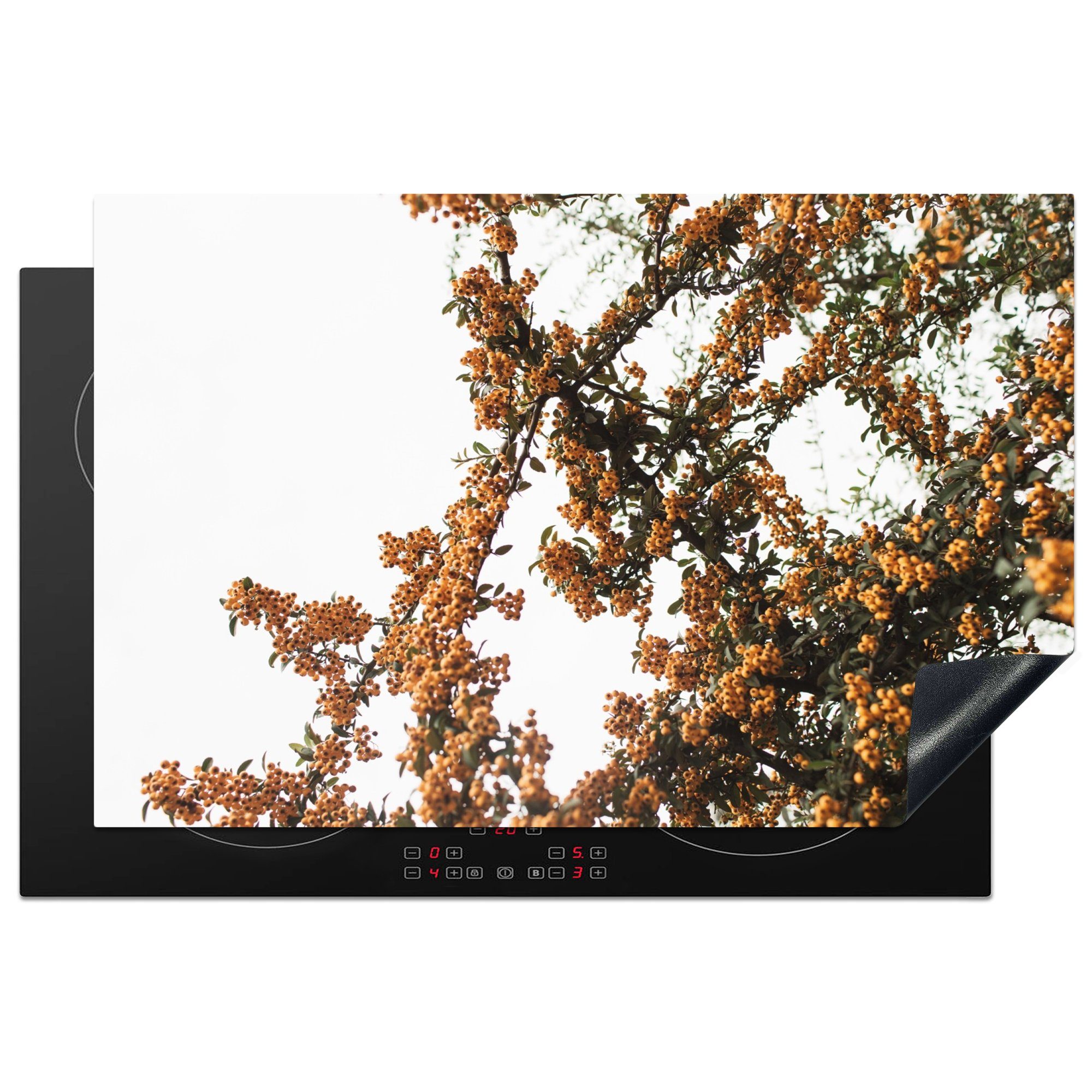 MuchoWow Herdblende-/Abdeckplatte Blumen - Äste - Natur, Vinyl, (1 tlg), 81x52 cm, Induktionskochfeld Schutz für die küche, Ceranfeldabdeckung