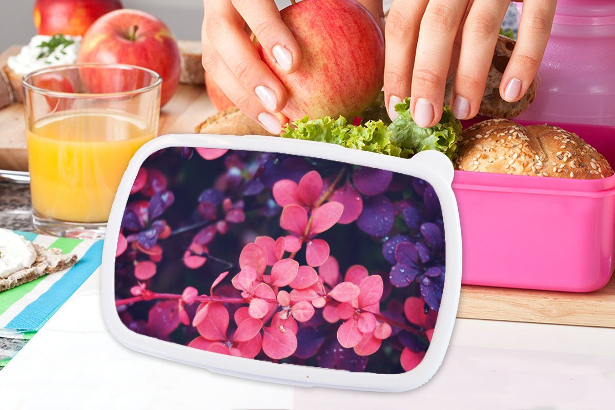 MuchoWow Lunchbox Blumen - Lila Brotdose (2-tlg), Erwachsene, für Natur, Snackbox, Brotbox Kunststoff, rosa Kunststoff Kinder, Mädchen, 