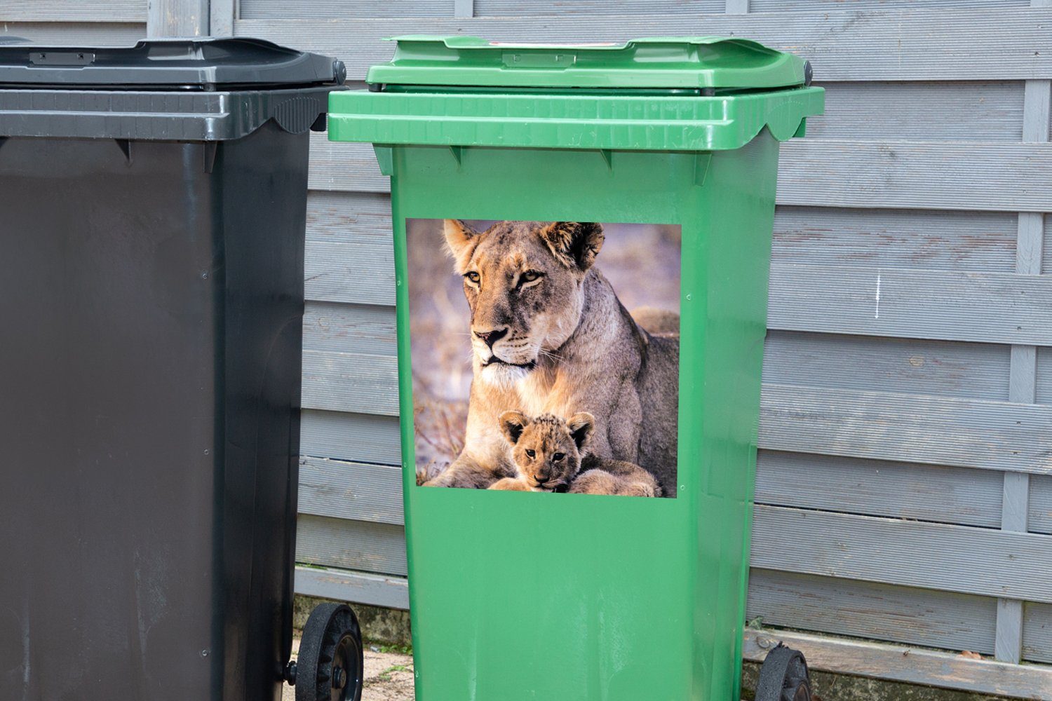 Löwe (1 St), Sticker, Wandsticker Mülltonne, Abfalbehälter Mülleimer-aufkleber, Löwin - MuchoWow - Junges Container,
