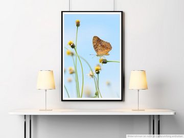 Sinus Art Poster 60x90cm Poster Naturfotografie  Kleiner Leopardenschmetterling