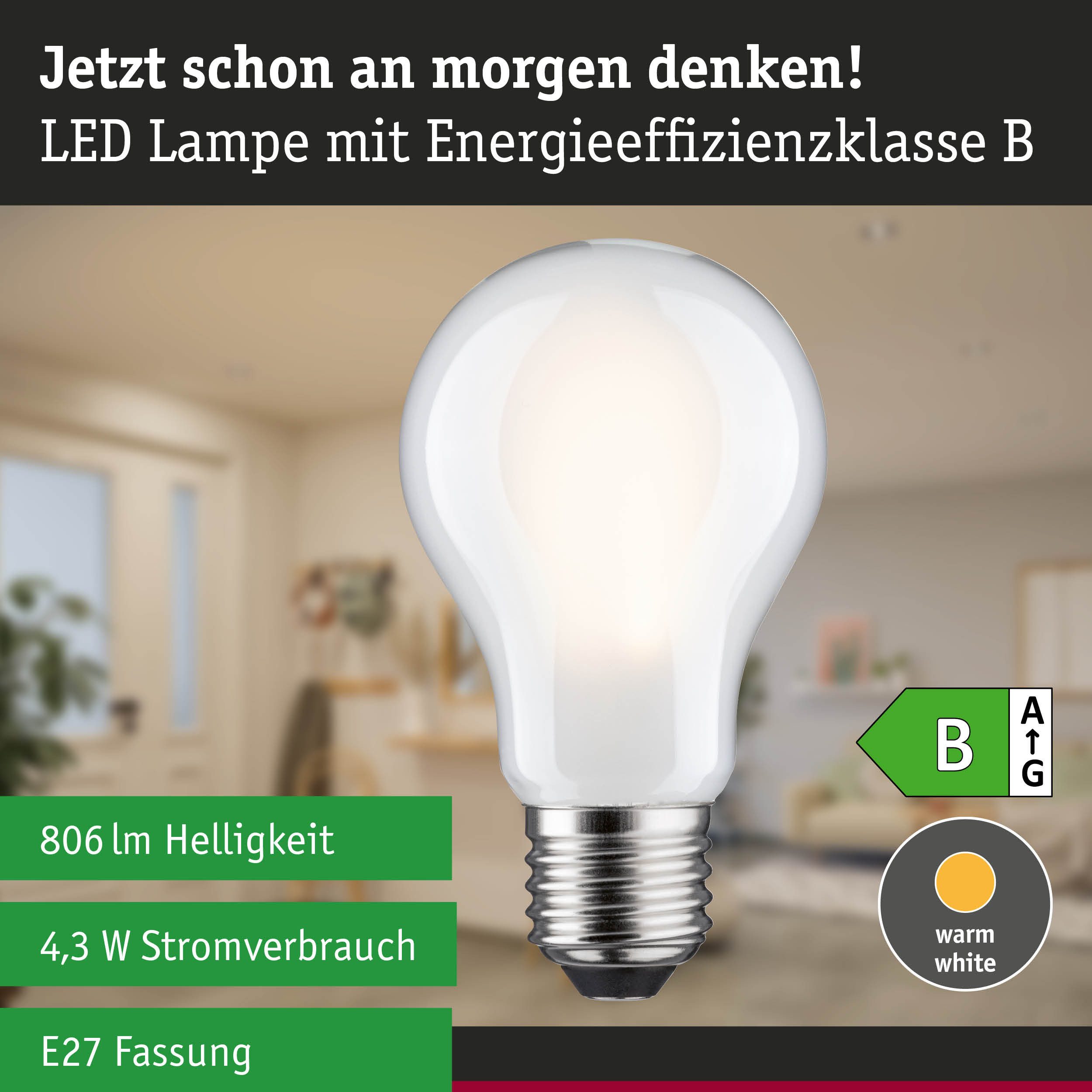 Paulmann LED-Filament Efficient-Line Filament 230V LED Birne E27 Einzelleuchte 806lm 4,3W 30, E27, 1 St. – Bild 4 von 5