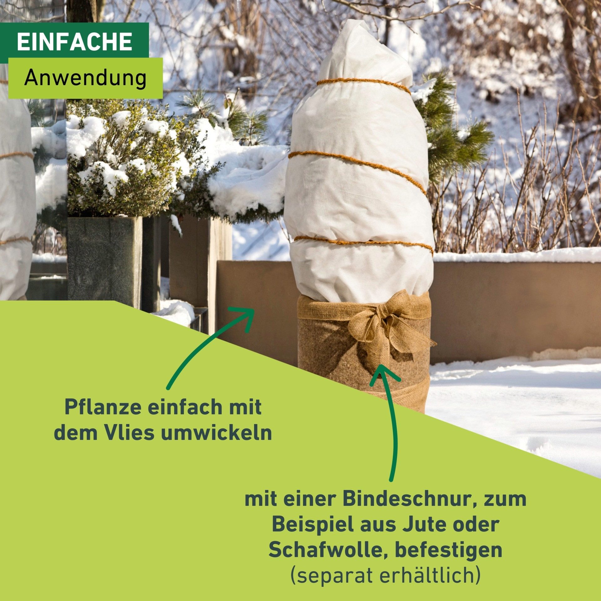 Windhager Winterschutzvlies Winterschutz für Pflanzen, Vlieshaube, Frostschutz und Kälteschutz, UV stabilisiert und witterungsbeständig, 1,5x2 m, Stärke 200 g/m2