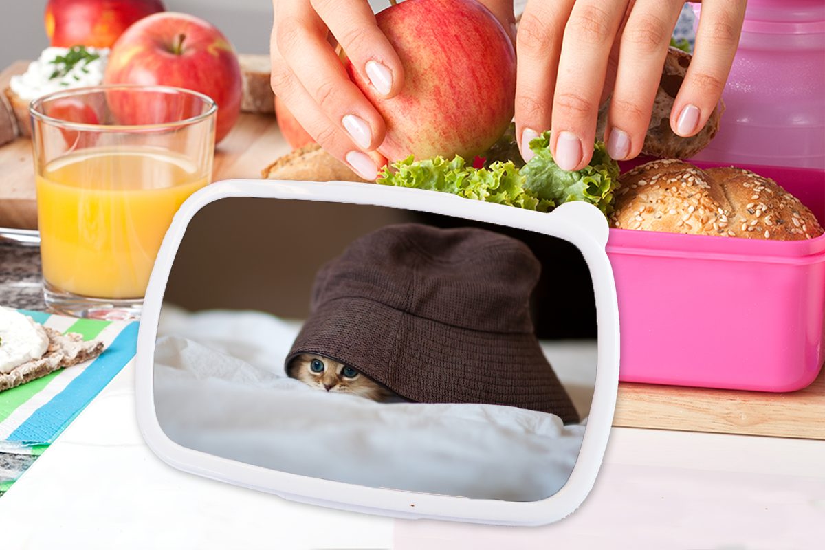 Kätzchen, Mädchen, Ein MuchoWow unter Kunststoff einem rosa versteckt Kunststoff, Brotdose Lunchbox Brotbox persisches Snackbox, (2-tlg), für Erwachsene, Hut, Kinder,