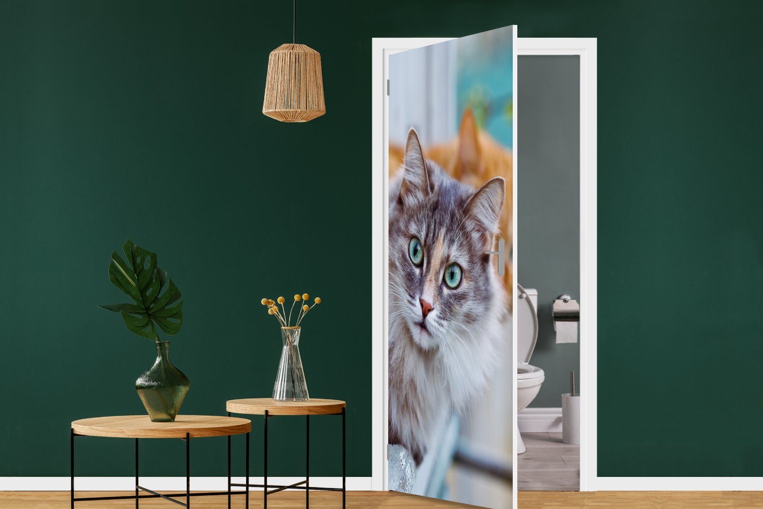 Katze Fenster - Türaufkleber, MuchoWow St), - Fototapete Türtapete Matt, Tür, bedruckt, cm Katzen, für (1 75x205