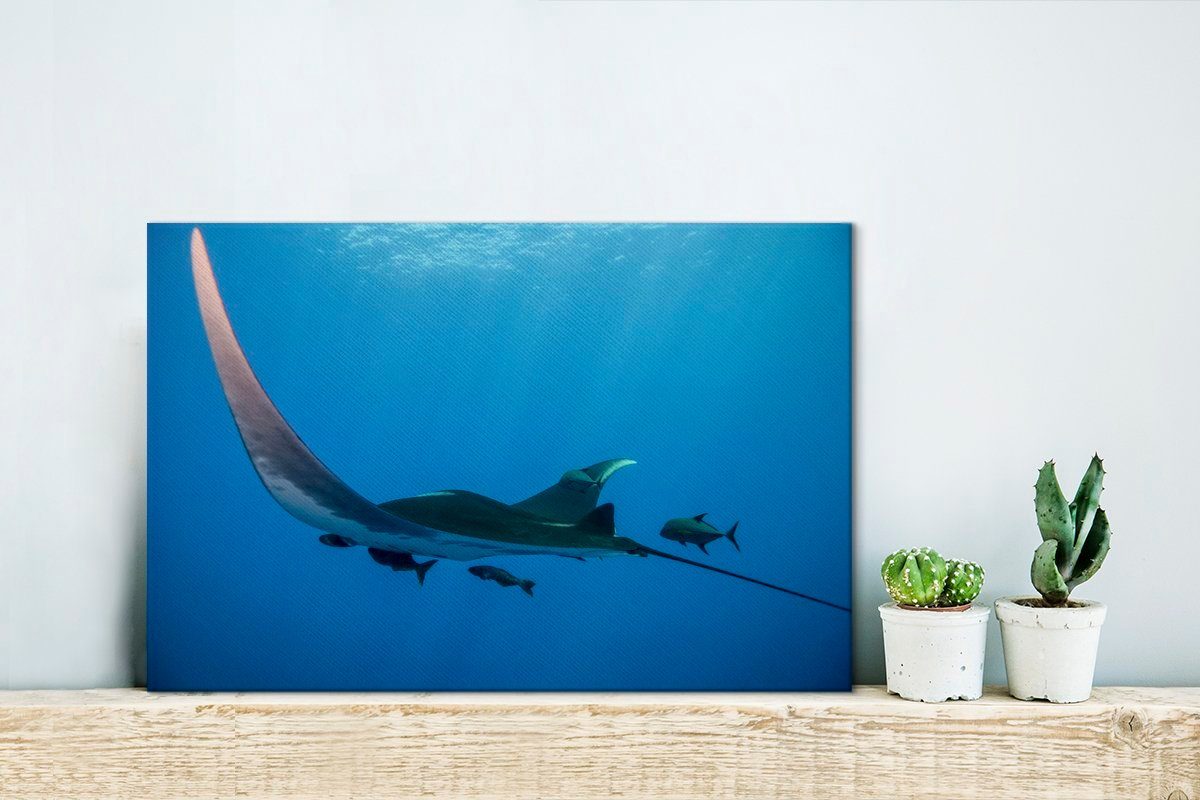 Aufhängefertig, Wandbild Leinwandbilder, OneMillionCanvasses® St), (1 30x20 Leinwandbild Wanddeko, cm Rochen, Ein schwimmender