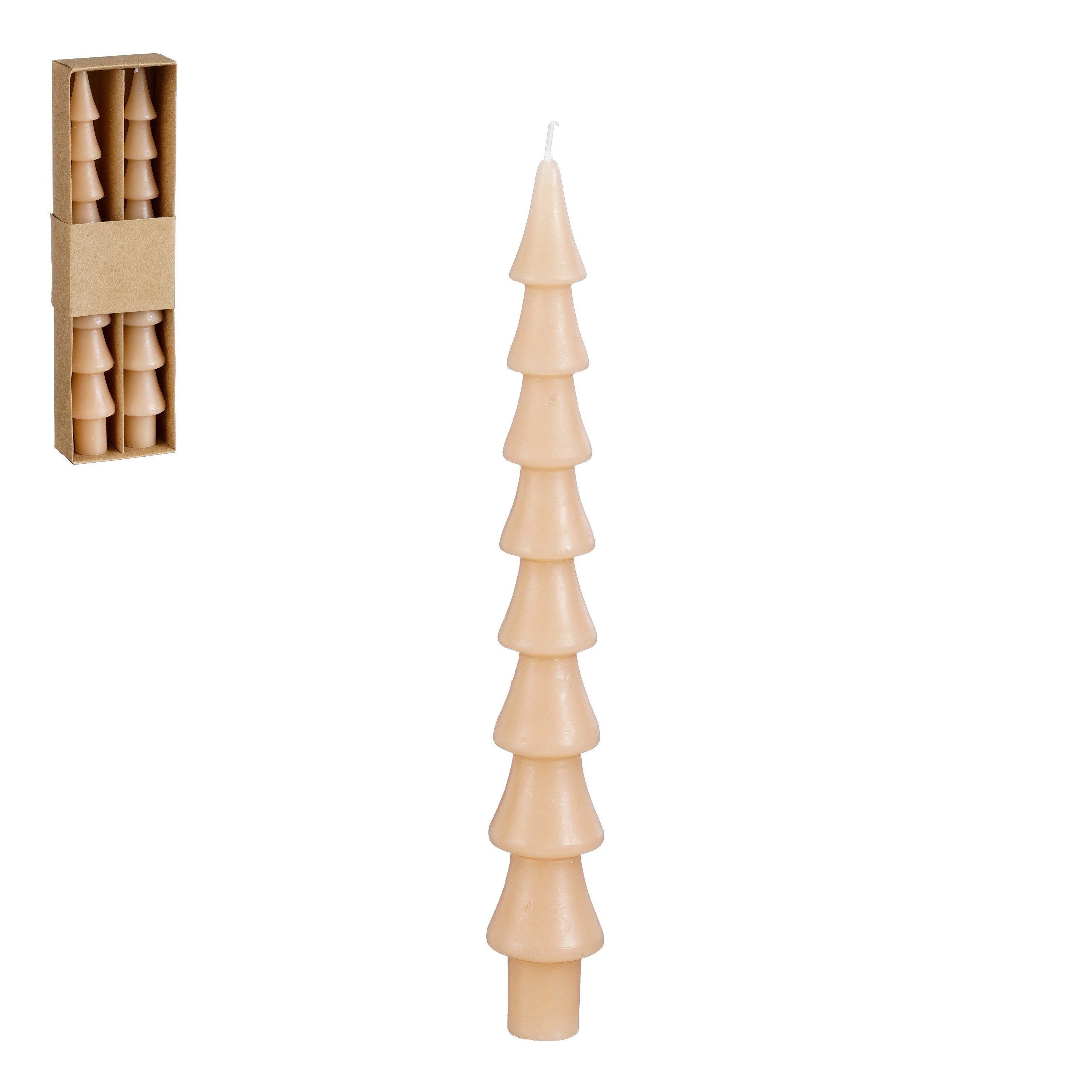 edelman Tafelkerze Mica, Spitzkerze, Weihnachtsbaum, beige, 2 Stueck, h25xd günstig online kaufen