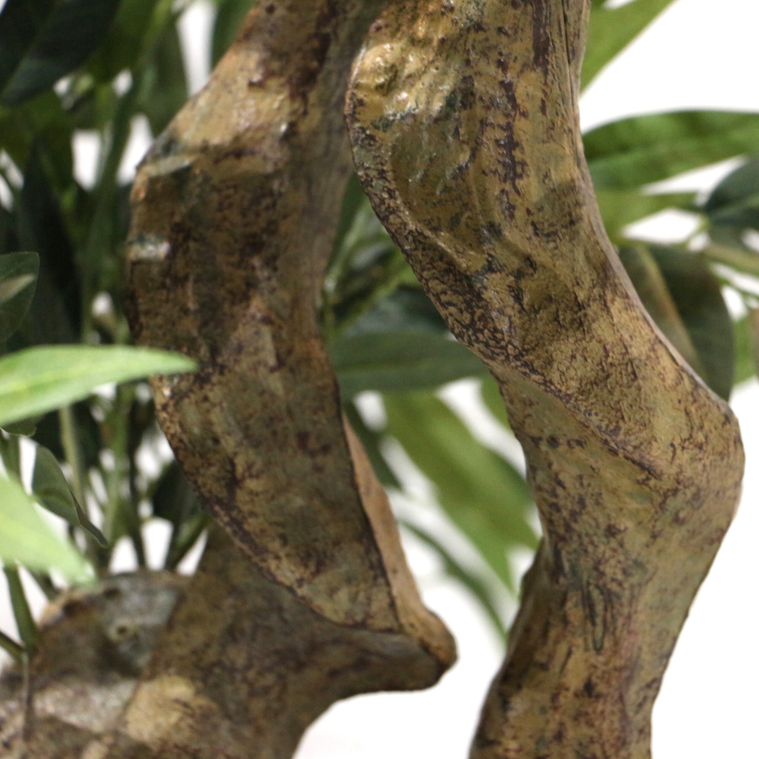 Kunstpflanze ACACIA Künstliche Pflanze Höhe 155.0 cm Strahlenaralie, hjh OFFICE, Höhe 155.0 cm, Künstliche Pflanze Zimmerpflanze Aralie, Kunstbaum im Kunststoff-Topf