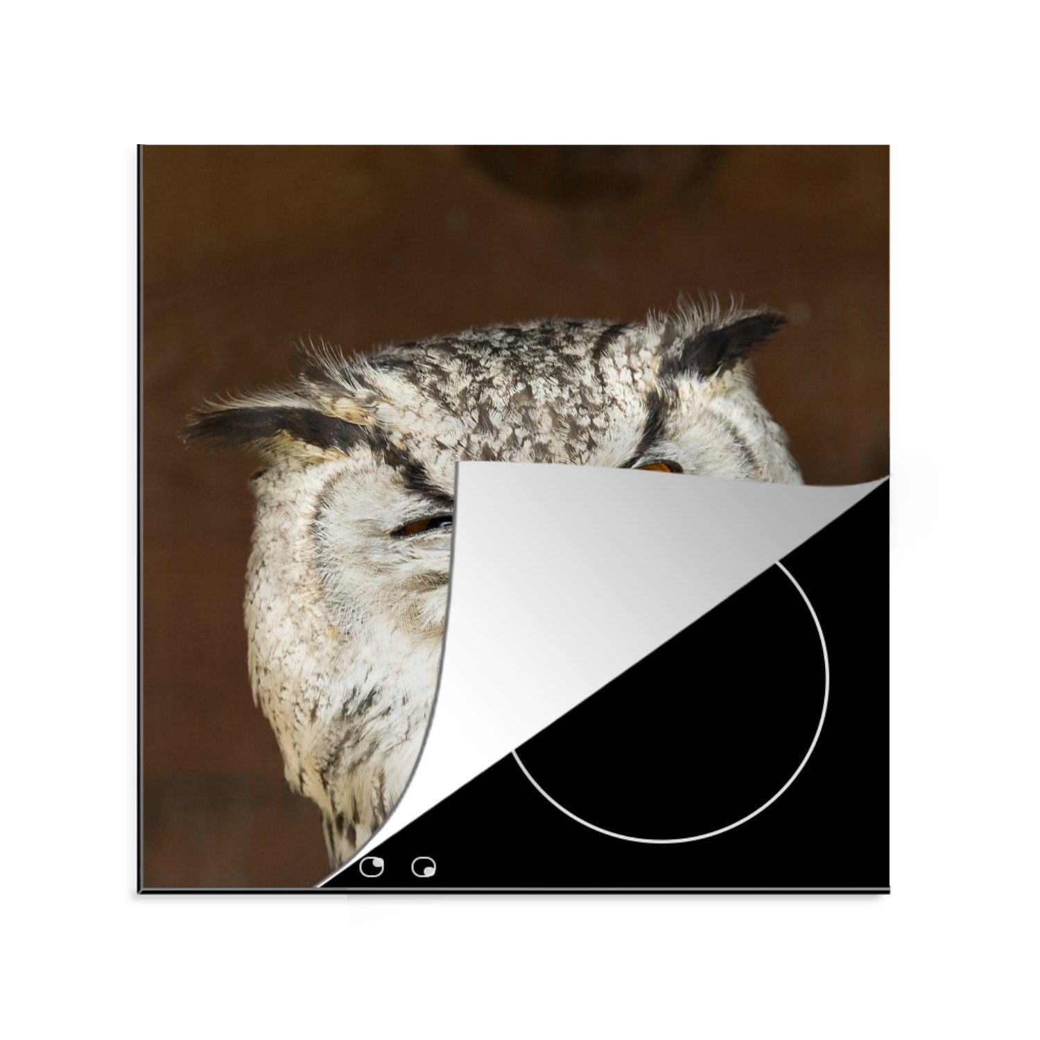 Eule tlg), Arbeitsplatte Herdblende-/Abdeckplatte MuchoWow Ceranfeldabdeckung, cm, Zwinker küche Vogel, - Vinyl, 78x78 (1 - für