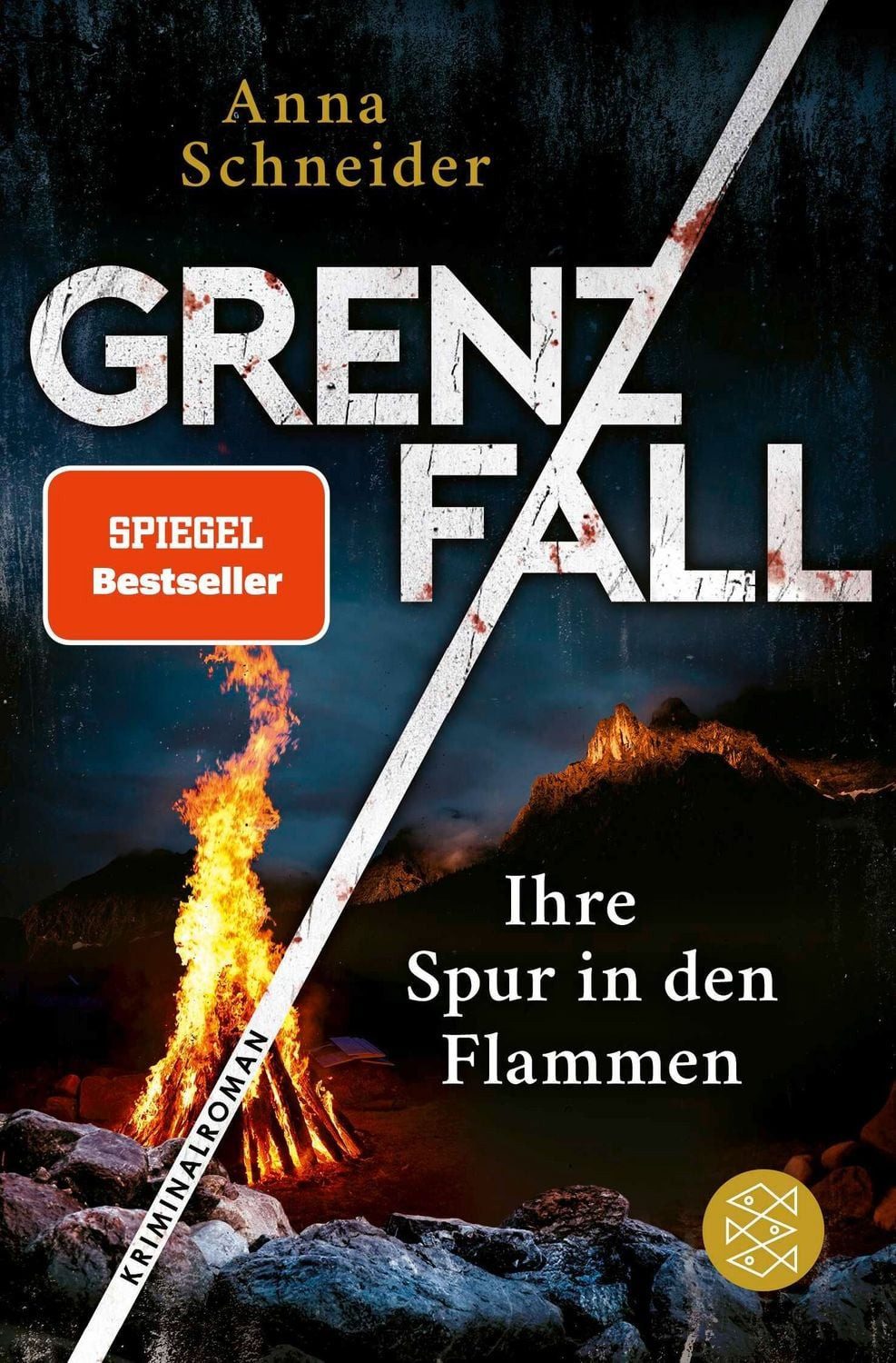 Grenzfall – Ihre Spur in den Flammen / Anna Schneider