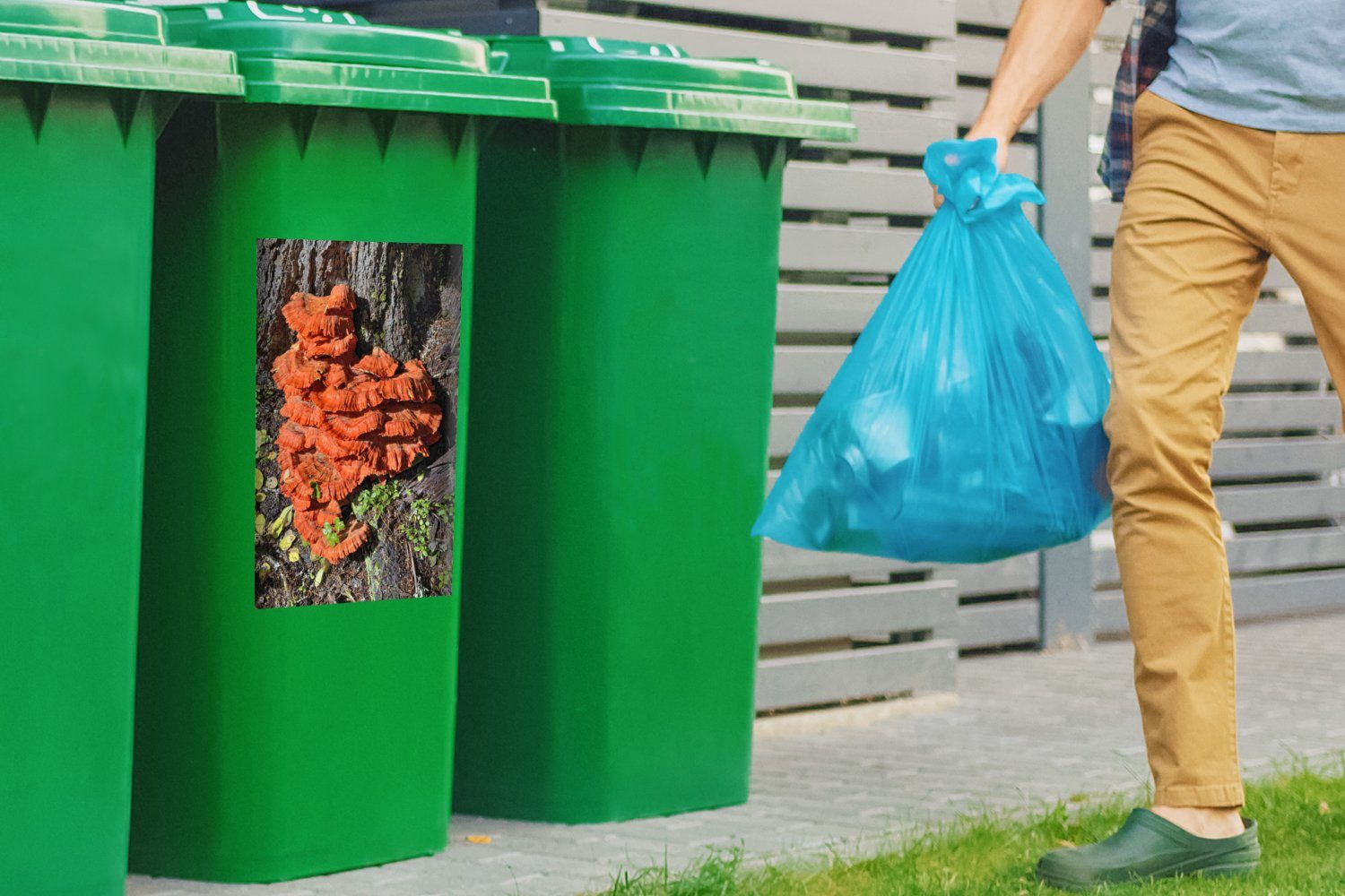 Abfalbehälter Mülleimer-aufkleber, Container, Sticker, Rote Wandsticker (1 St), Schwefelpilze MuchoWow Mülltonne,