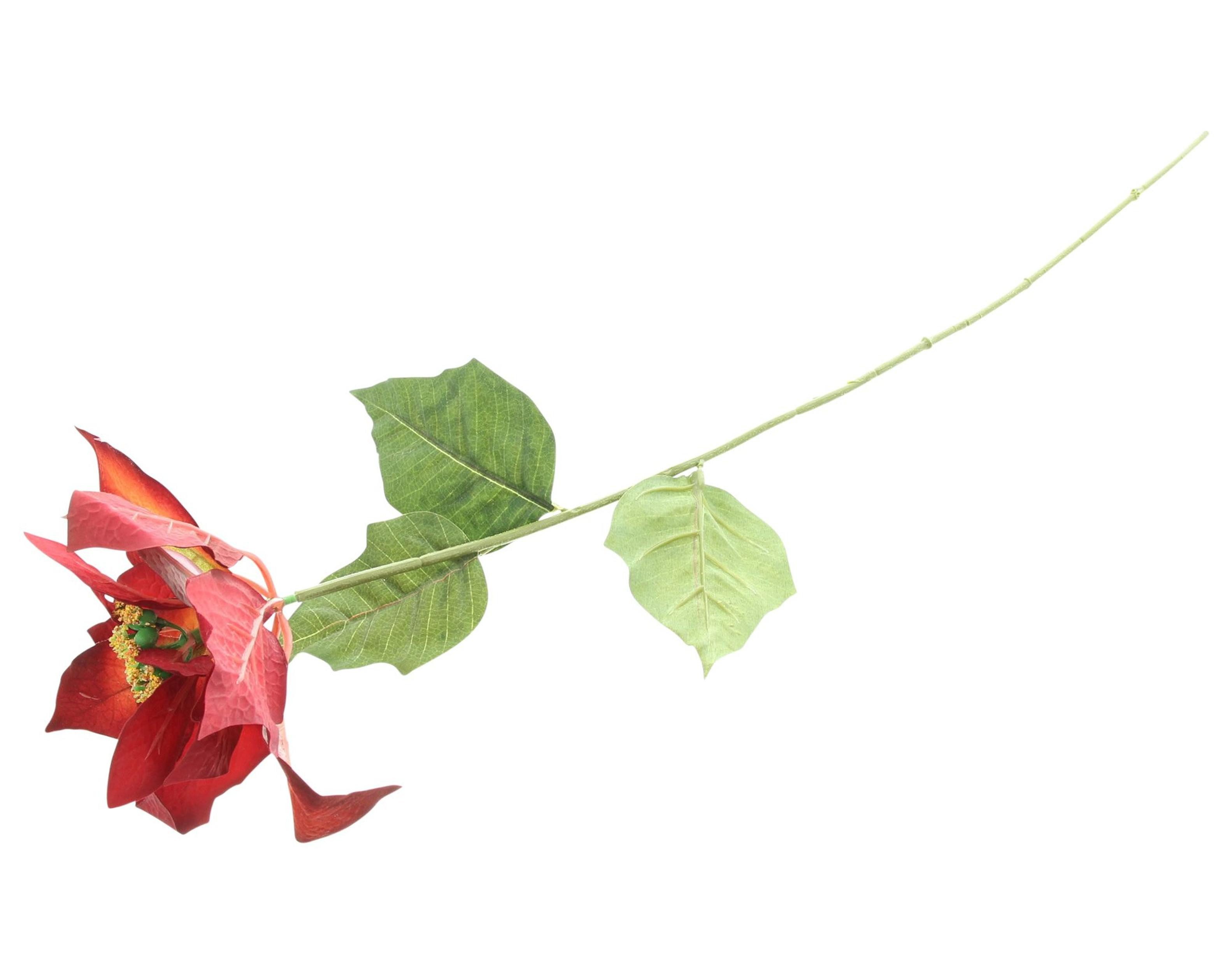 Kunstblume Kunstblume "Weihnachtsstern", 2er Set