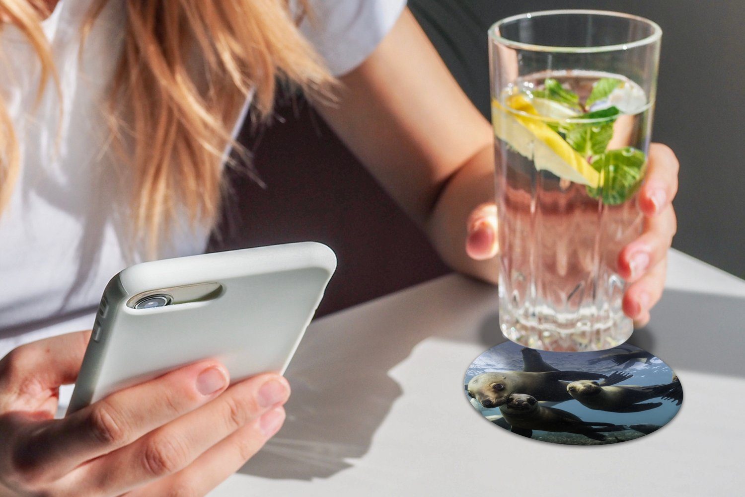 MuchoWow Glasuntersetzer Seelöwe - Gläser, Korkuntersetzer, Wasser für Kamera, Tassenuntersetzer, 6-tlg., - Zubehör Becher Tasse, Getränkeuntersetzer