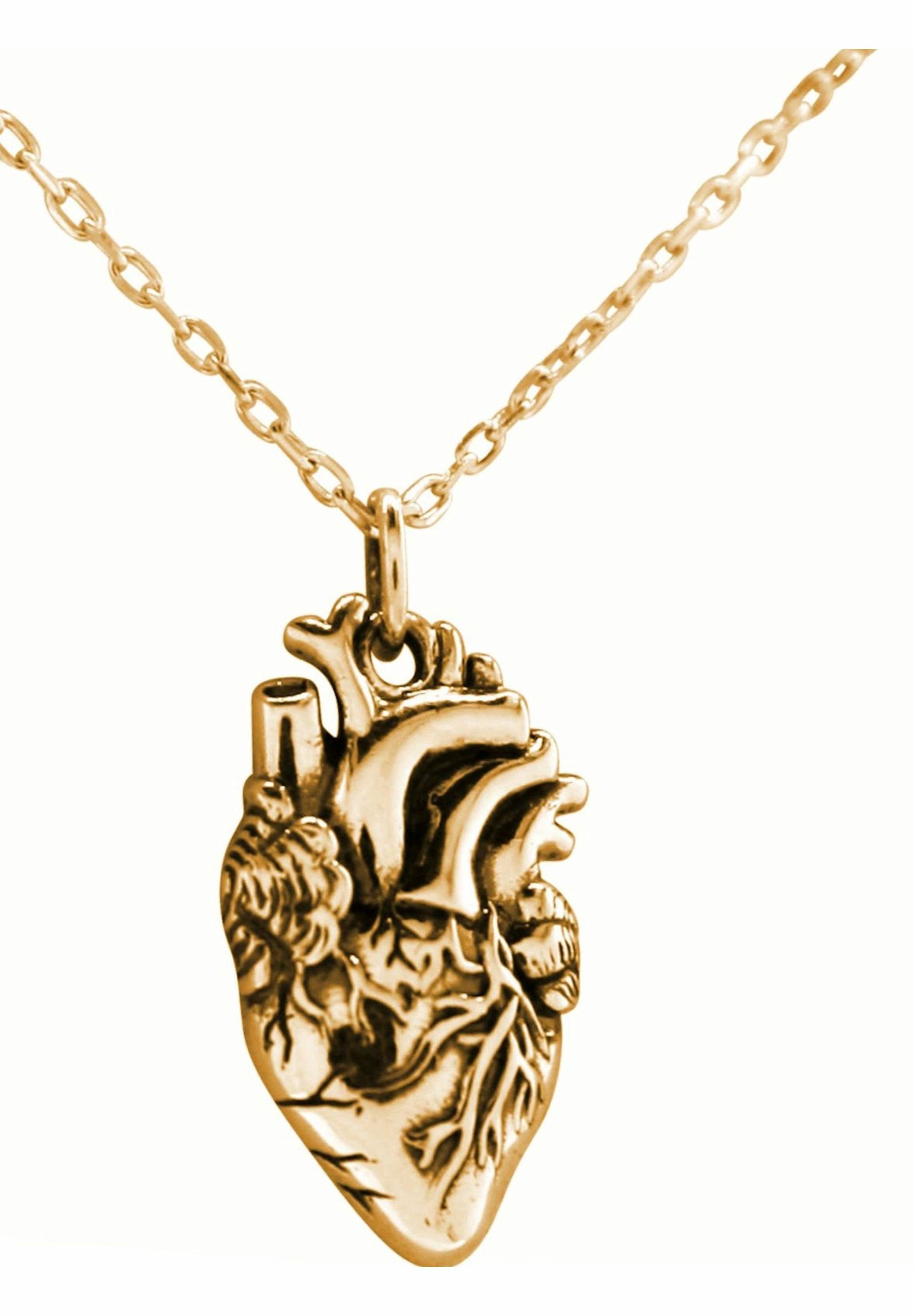 Anhänger coloured Kette Gemshine gold Anatomisches mit Herz
