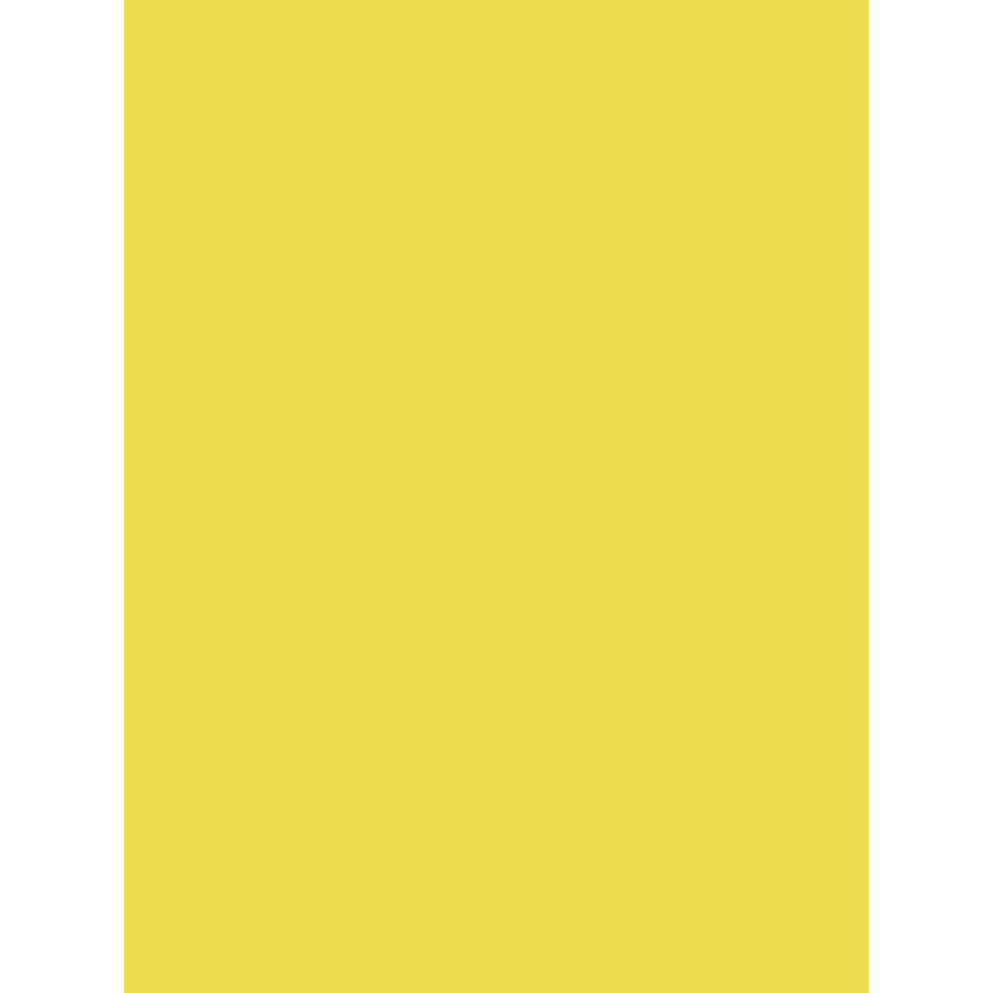 Thumbnail - CLAIREFONTAINE Zeichenpapier Pack 25 Bögen Plakatpapier, 60x80cm, 90g - Zitronengelb, 384515C, Bastel für Schule