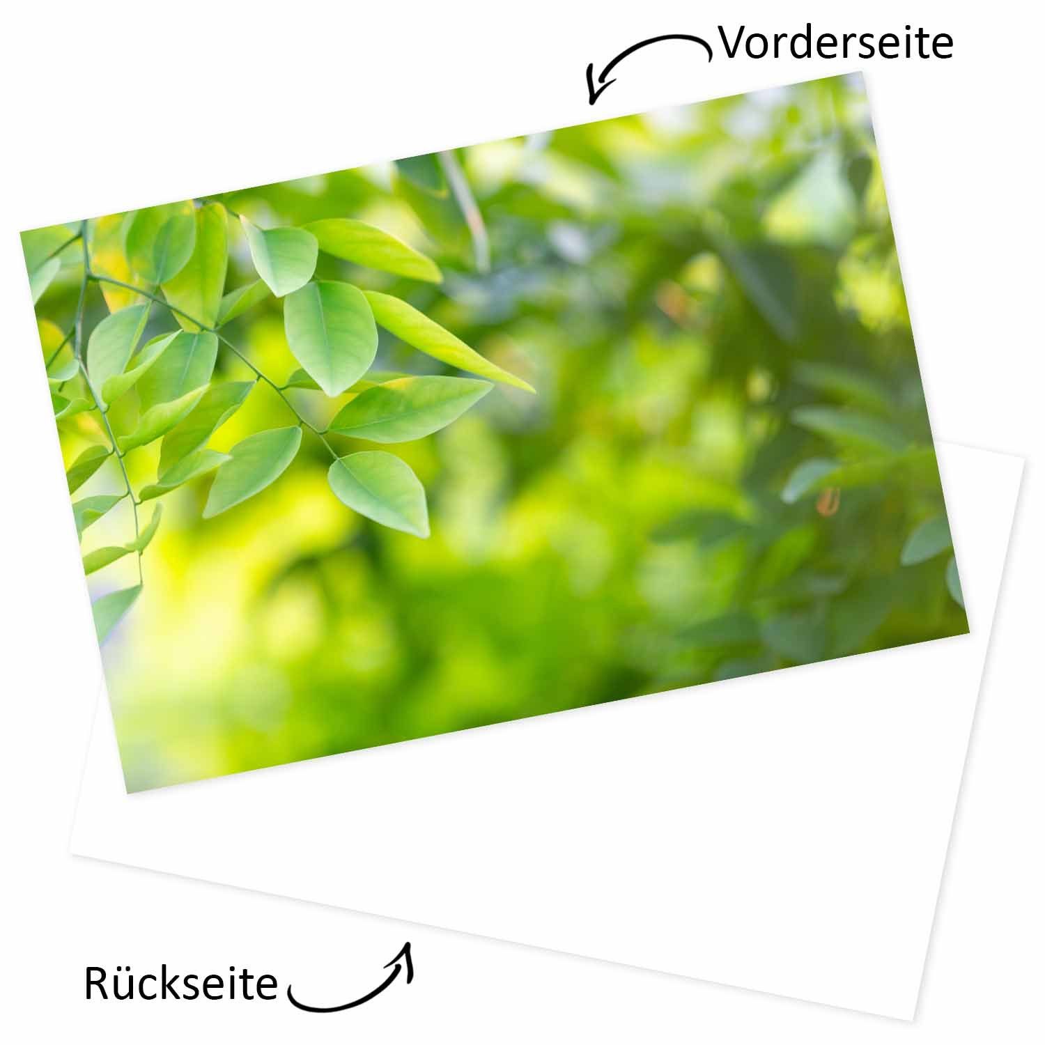younikat Küchenrückwand Younikat, Küchen-Rückwand Spritzschutz I günstig online kaufen