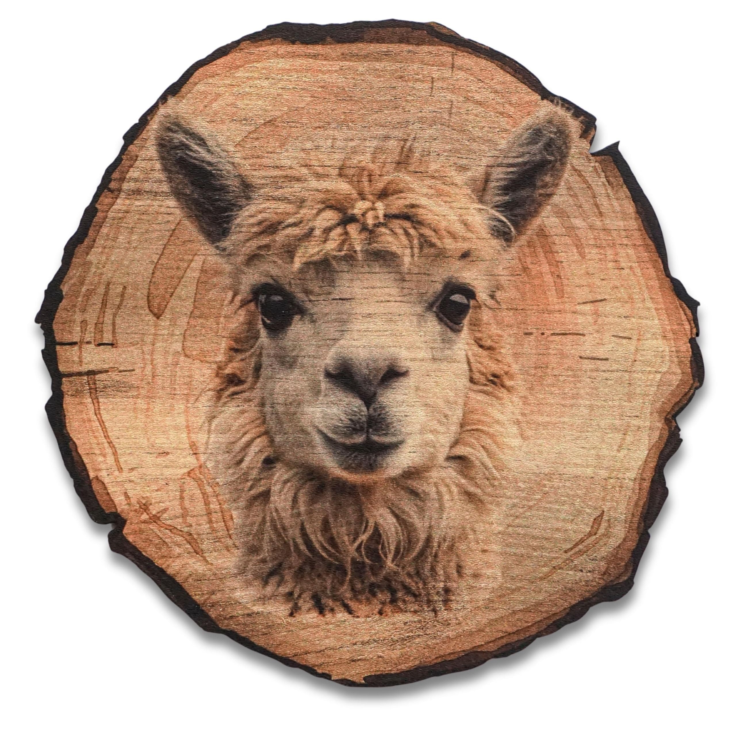 DARO Design Wandbild Tiere Holzoptik Wandbilder Wand Deko Bilder Vintage, (Lama - Bild klein Wohnzimmer Flur Schlafzimmer Diele Arbeitszimmer Einteilig Rund Fotodruck Baumscheiben-Tiere), 20x20 cm