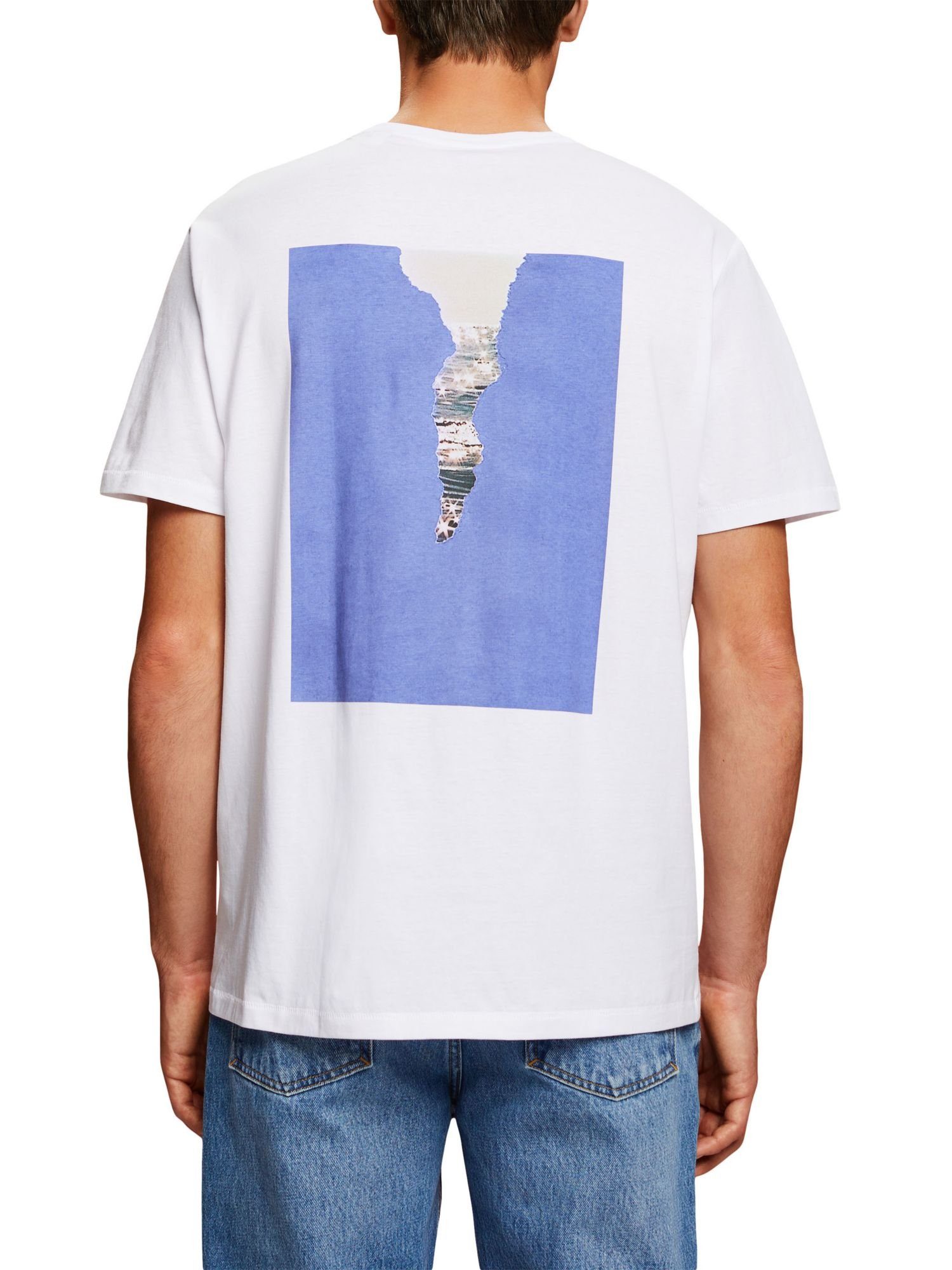 edc hinten, (1-tlg) Baumwolle by Print Jersey-T-Shirt mit T-Shirt WHITE Esprit 100 %