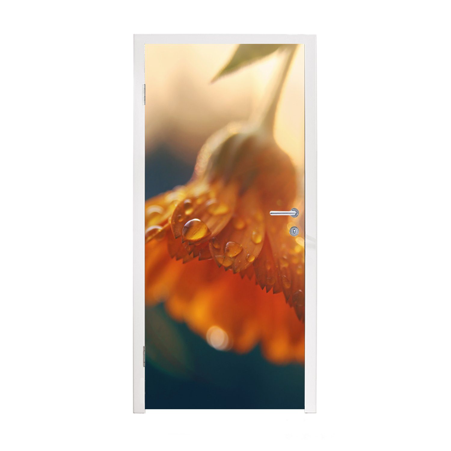 MuchoWow Türtapete Ringelblume mit Wassertropfen, Matt, bedruckt, (1 St), Fototapete für Tür, Türaufkleber, 75x205 cm