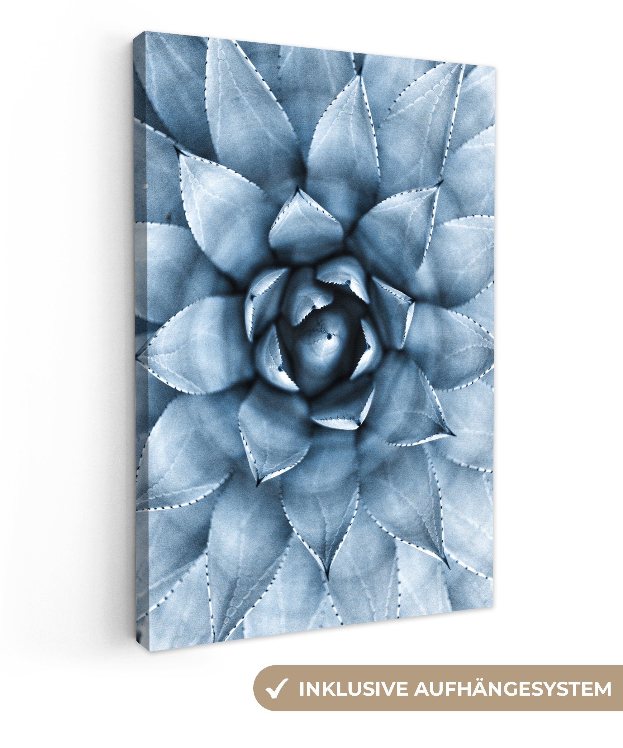 cm Leinwandbild 20x30 Blau - Leinwandbild Zackenaufhänger, Natur, bespannt Pflanzen OneMillionCanvasses® inkl. - fertig Gemälde, St), (1