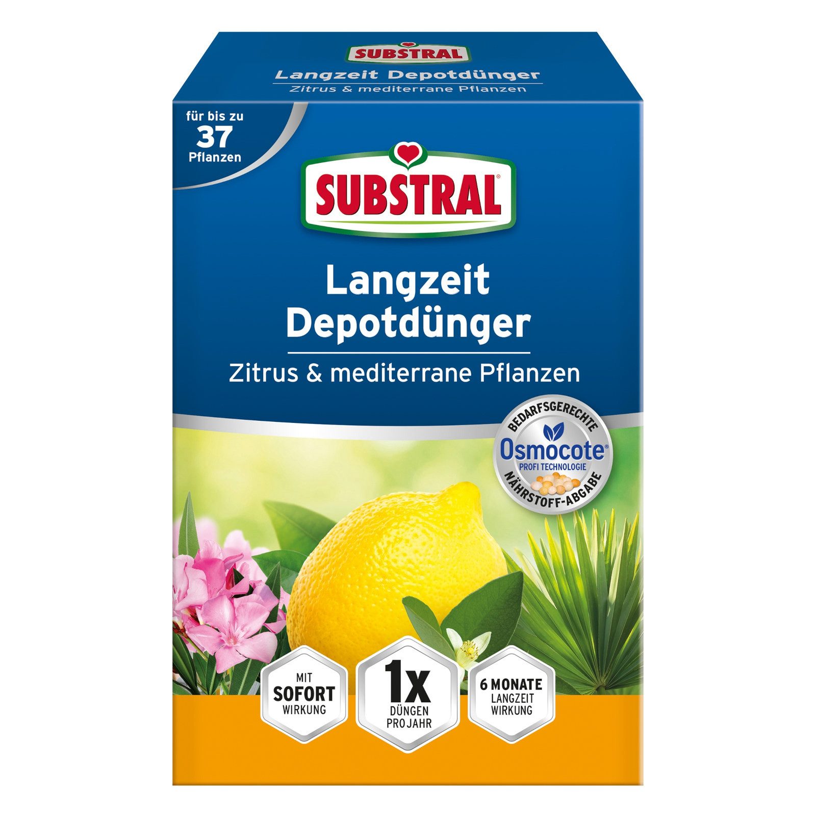 Substral Langzeitdünger Langzeit Depotdünger für Zitrus & Mediterrane Pflanzen - 750 g
