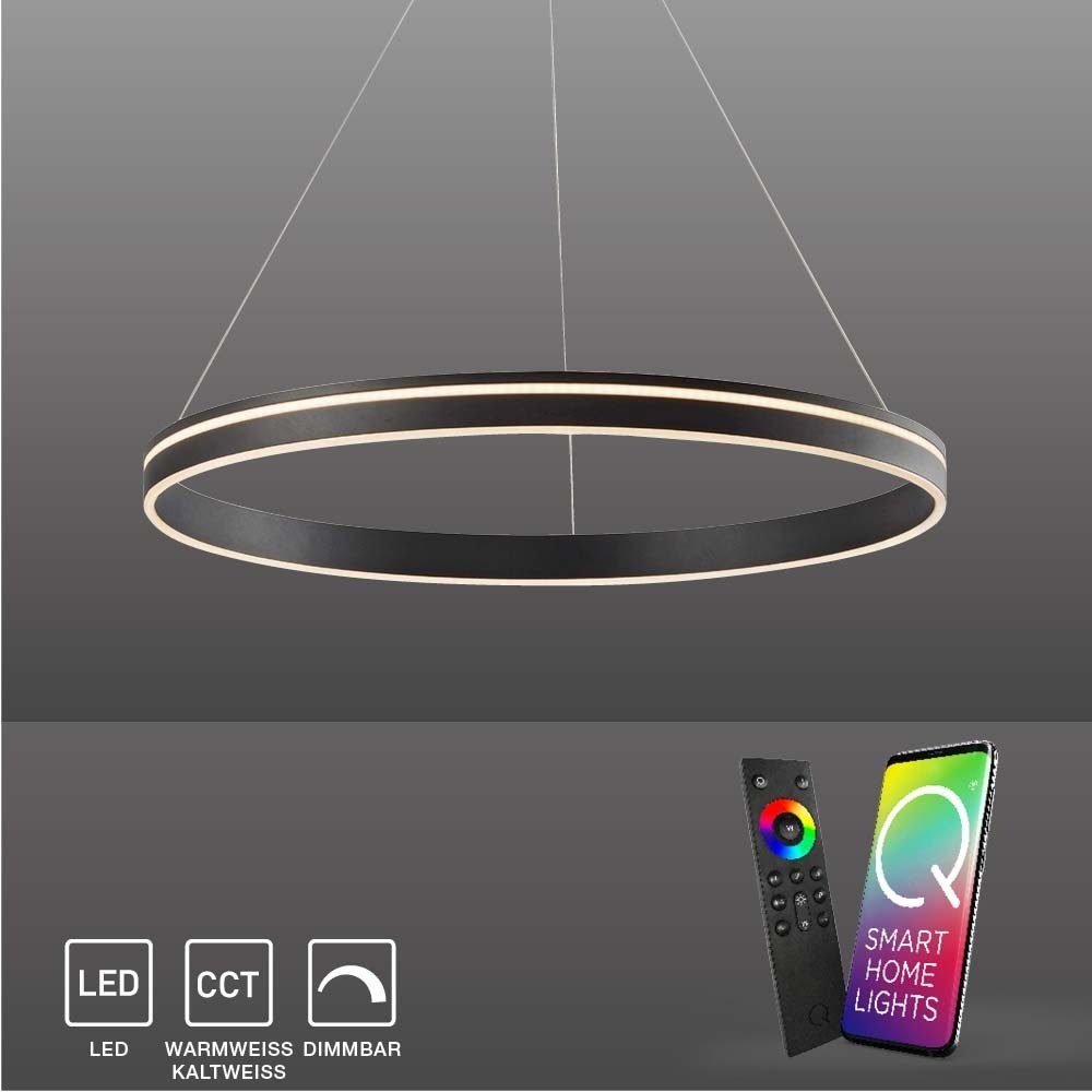 Paul Neuhaus Smarte LED-Leuchte LED Pendellampe CCT Q-Vito, Smart Home, RGB+W-Farbregelung, Dimmfunktion, Memoryfunktion, mit Leuchtmittel, Pendelleuchte Ring, dimmbar, Fernbedienung, Alexa anthrazit