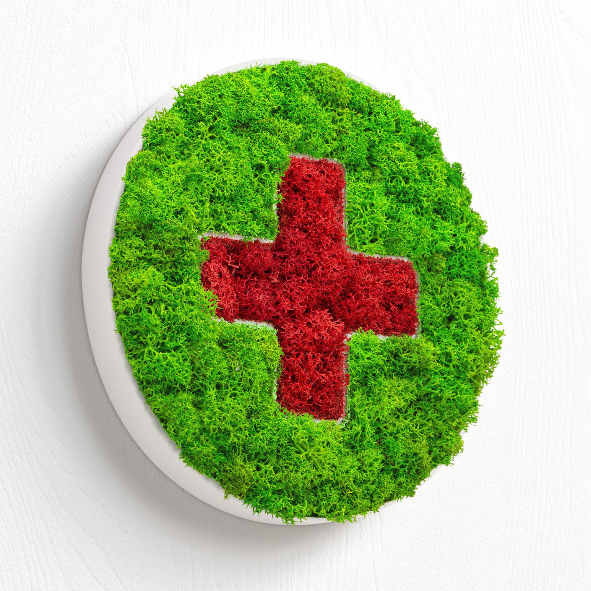Mooswerk Wanddekoobjekt MOOSWERK Moos-Türschild Piktogramm Arzt, Praxis, Klinik, Islandmoos