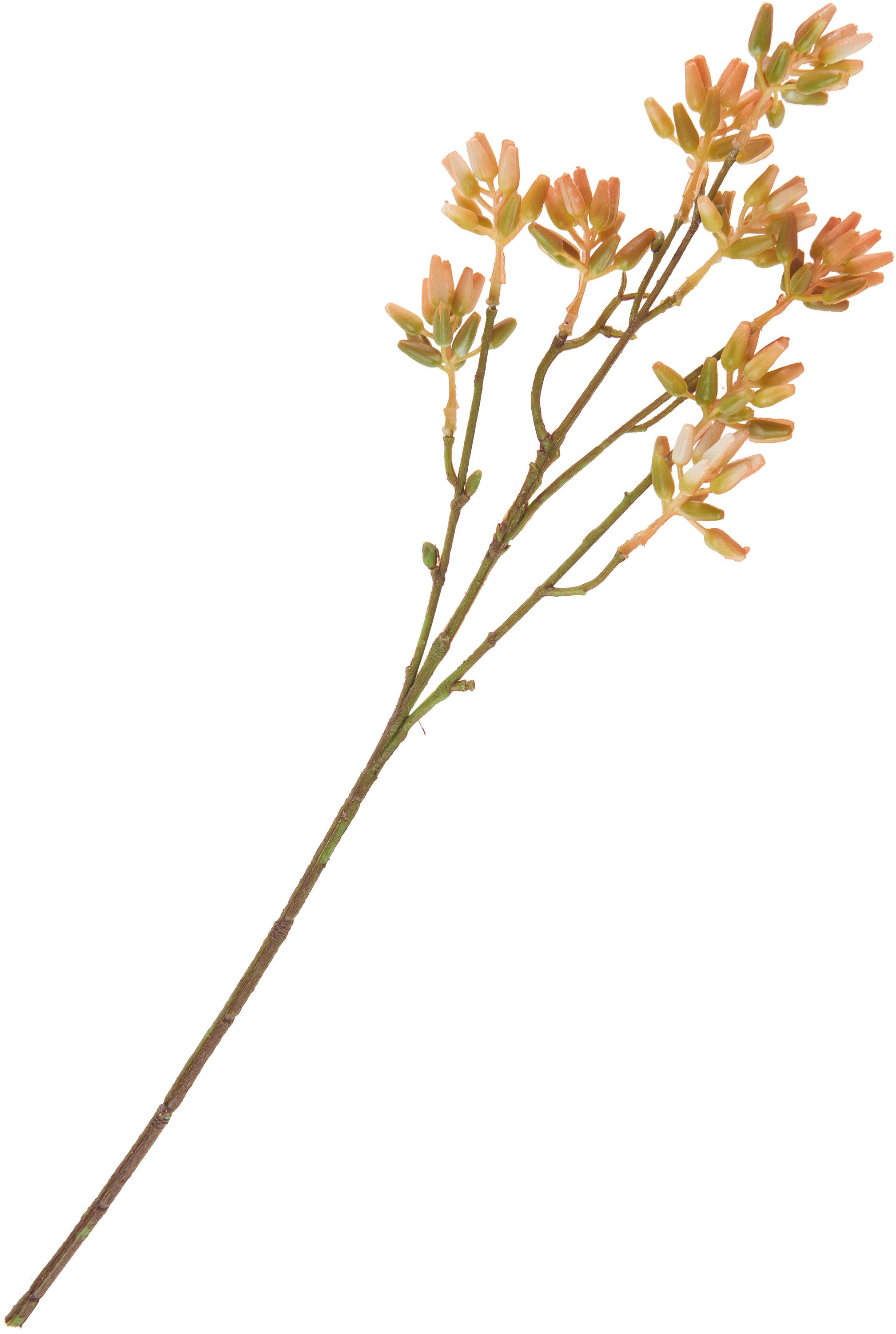 Kunstblume Sukkulenten Zweig, DPI, L 25 günstig online kaufen