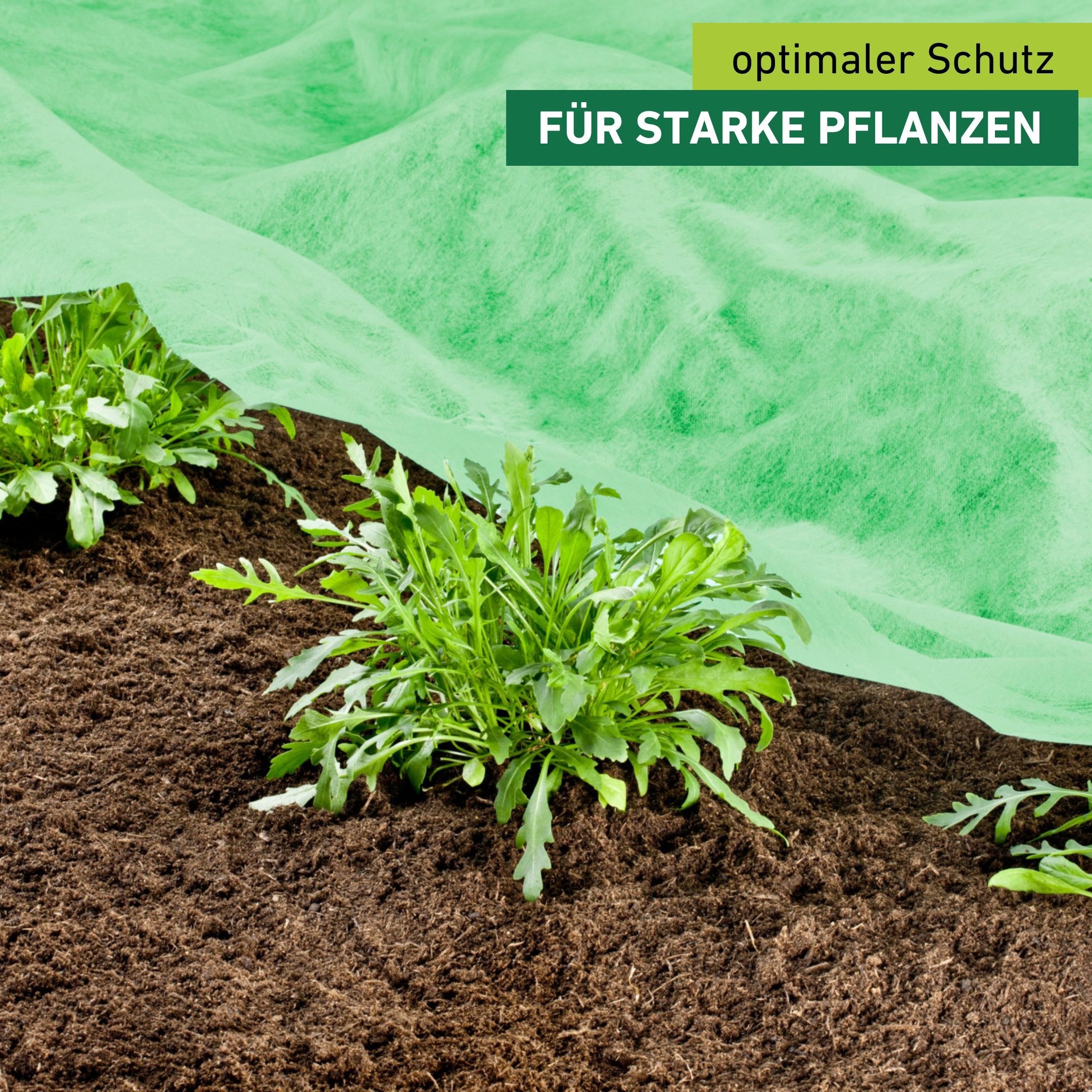 Windhager Gartenvlies Supergrow für optimales Wachstum von Jungpflanzen im Frühbeet, (1-St), Garten Abdeckvlies erhältlich in 10 x 1,5 m oder 10 x 2 m, 20 g/m²