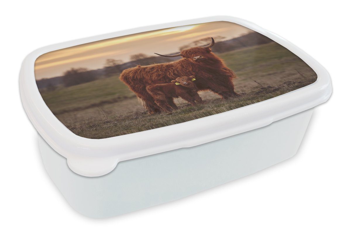 MuchoWow Lunchbox Tiere Brotdose, weiß für und Jungs für Kunststoff, und (2-tlg), Mädchen - Kuh, Landschaft Sonnenuntergang - - Erwachsene, Schottische - Brotbox Kinder Highlander