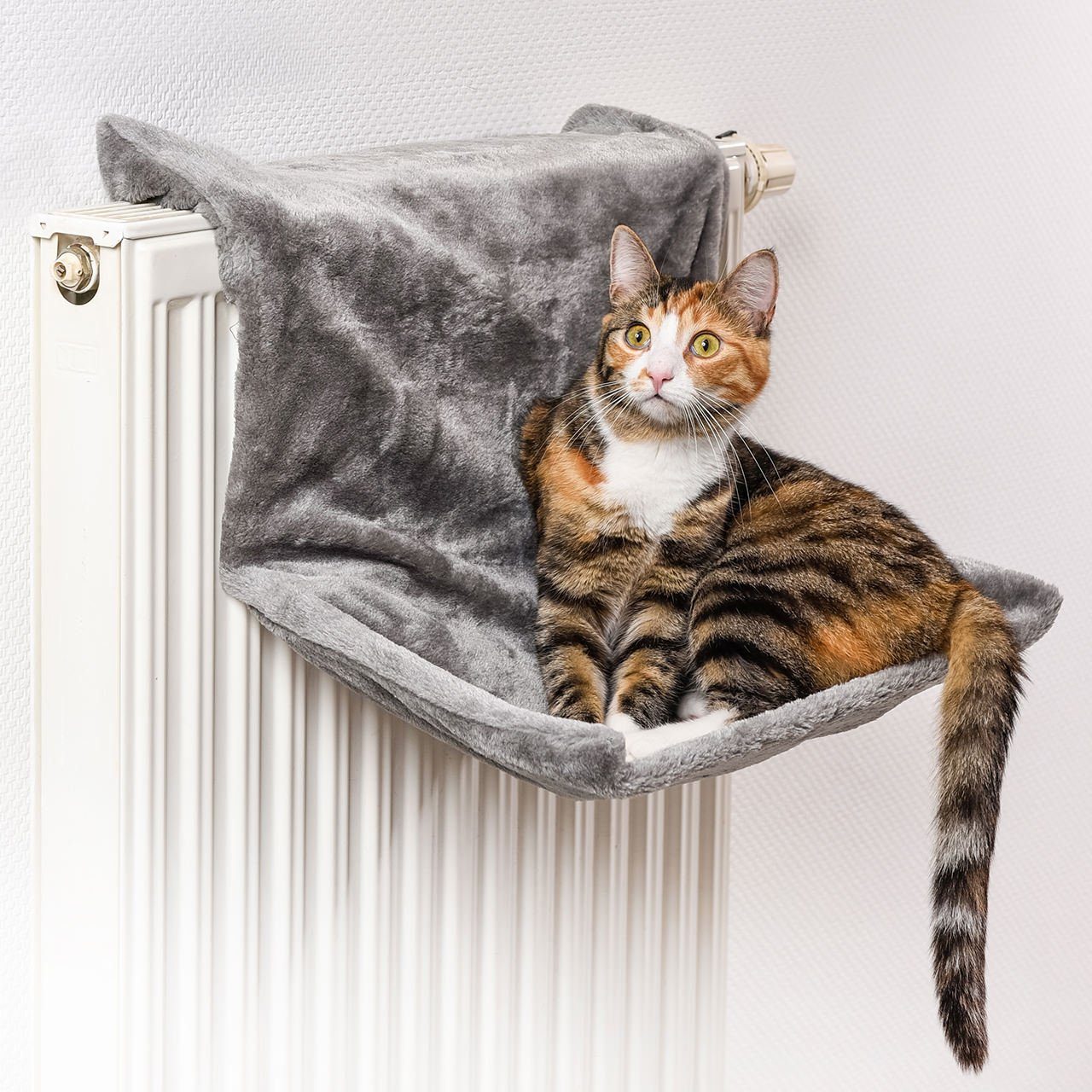 Canadian Cat Company Katzen-Hängematte Liegemulde für günstig online kaufen