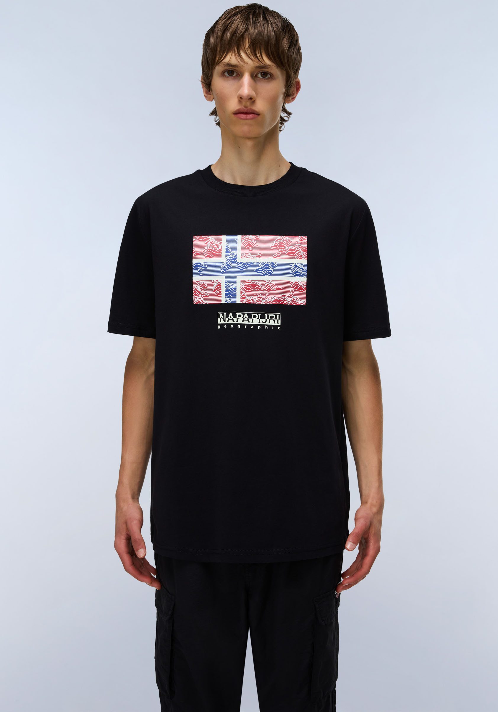 Napapijri T-Shirt DRAPEAU mit Print, Rundhals, Jersey günstig online kaufen