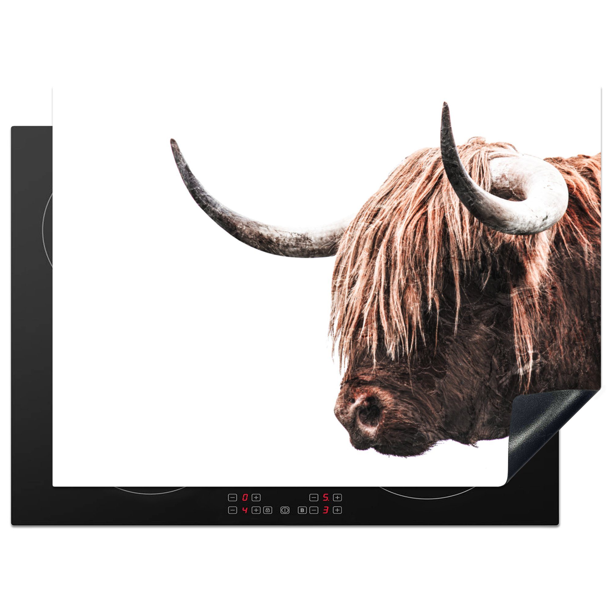 MuchoWow Herdblende-/Abdeckplatte Schottischer Highlander - Kuh - Hoorn, Vinyl, (1 tlg), 71x52 cm, Induktionskochfeld Schutz für die küche, Ceranfeldabdeckung